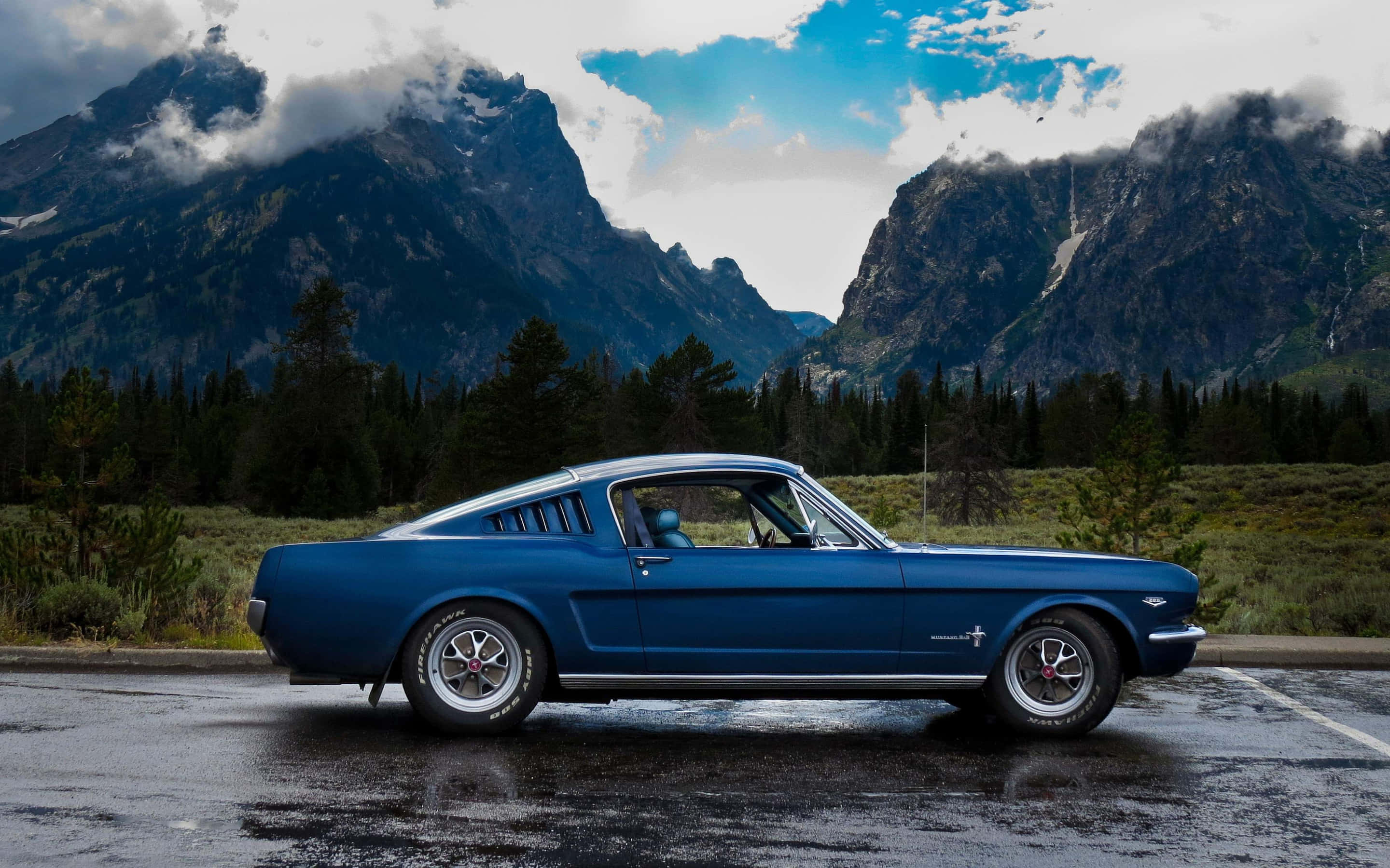 1966年福特野马Fastback惊艳视角 壁纸