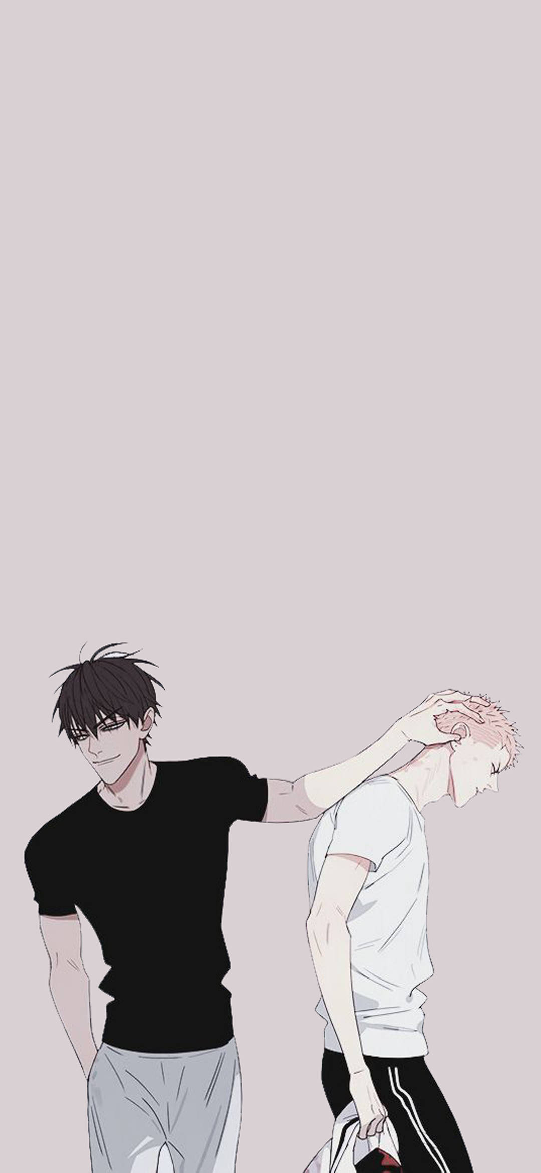 19天 贺天 x 莫 壁纸