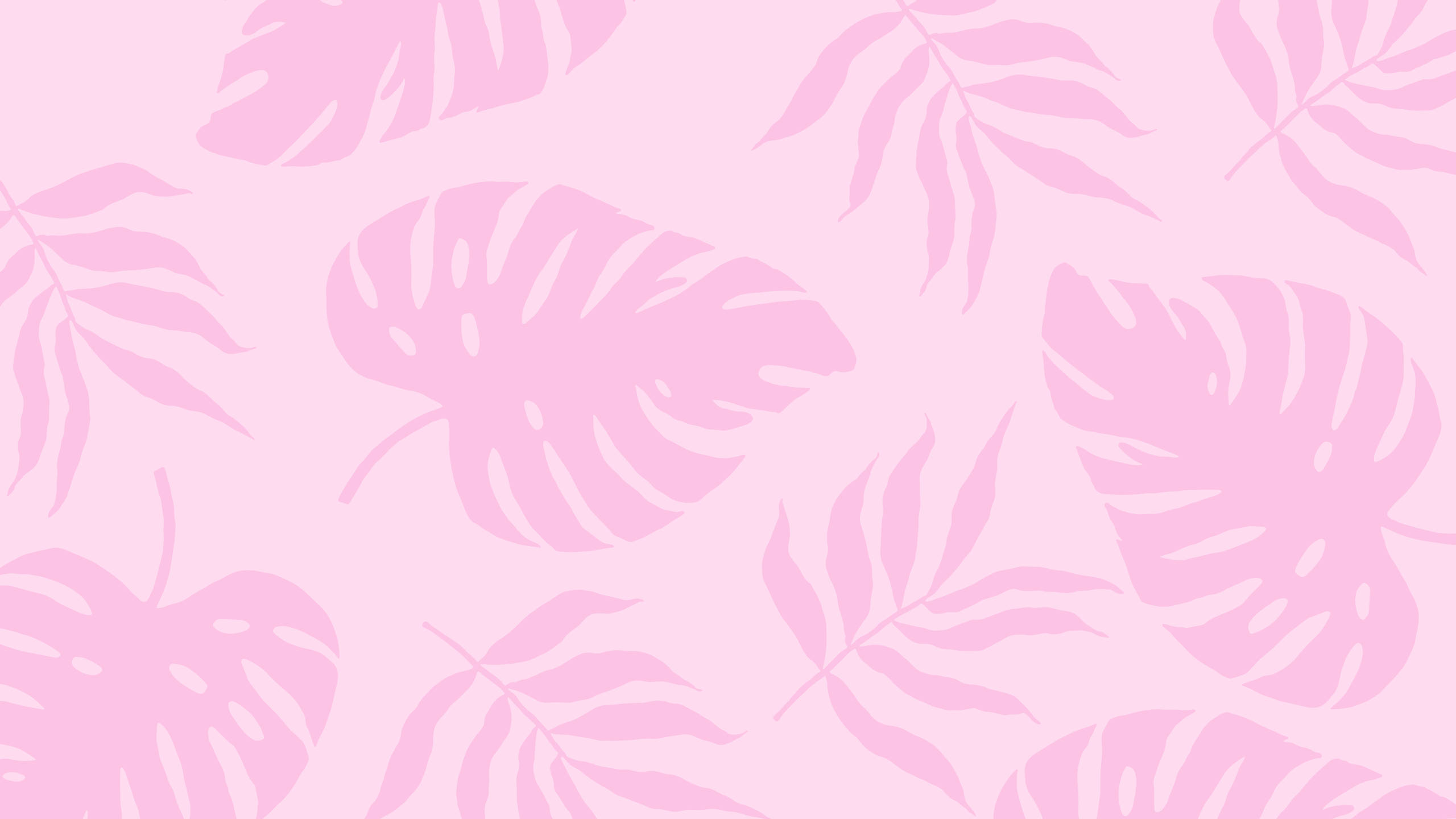 2560x1440 夏日植物粉色美学 壁纸