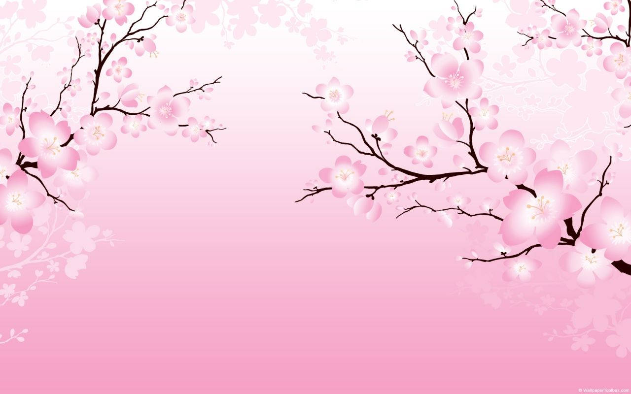 2D 樱花壁纸