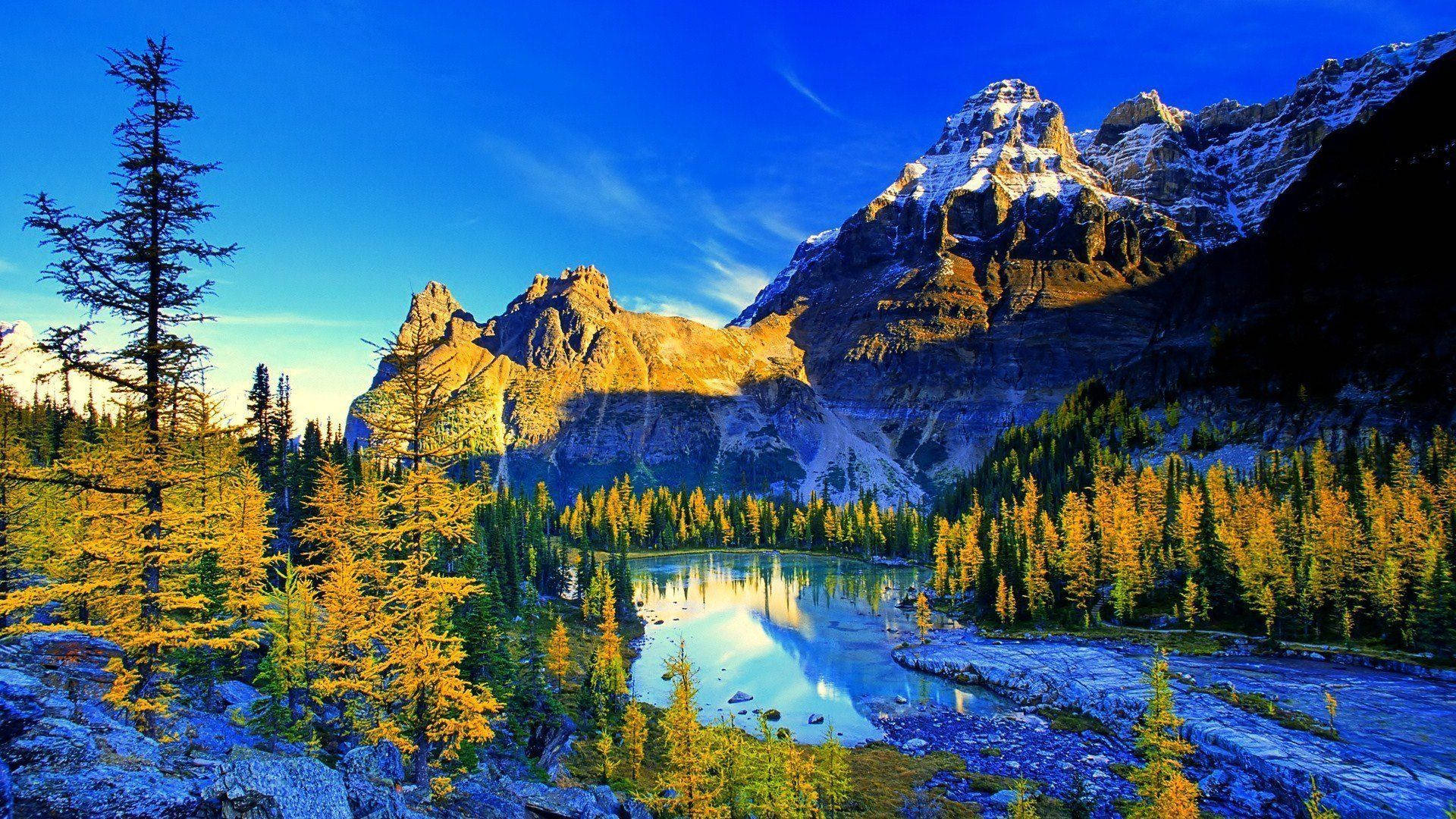 4K自然生动风景 壁纸