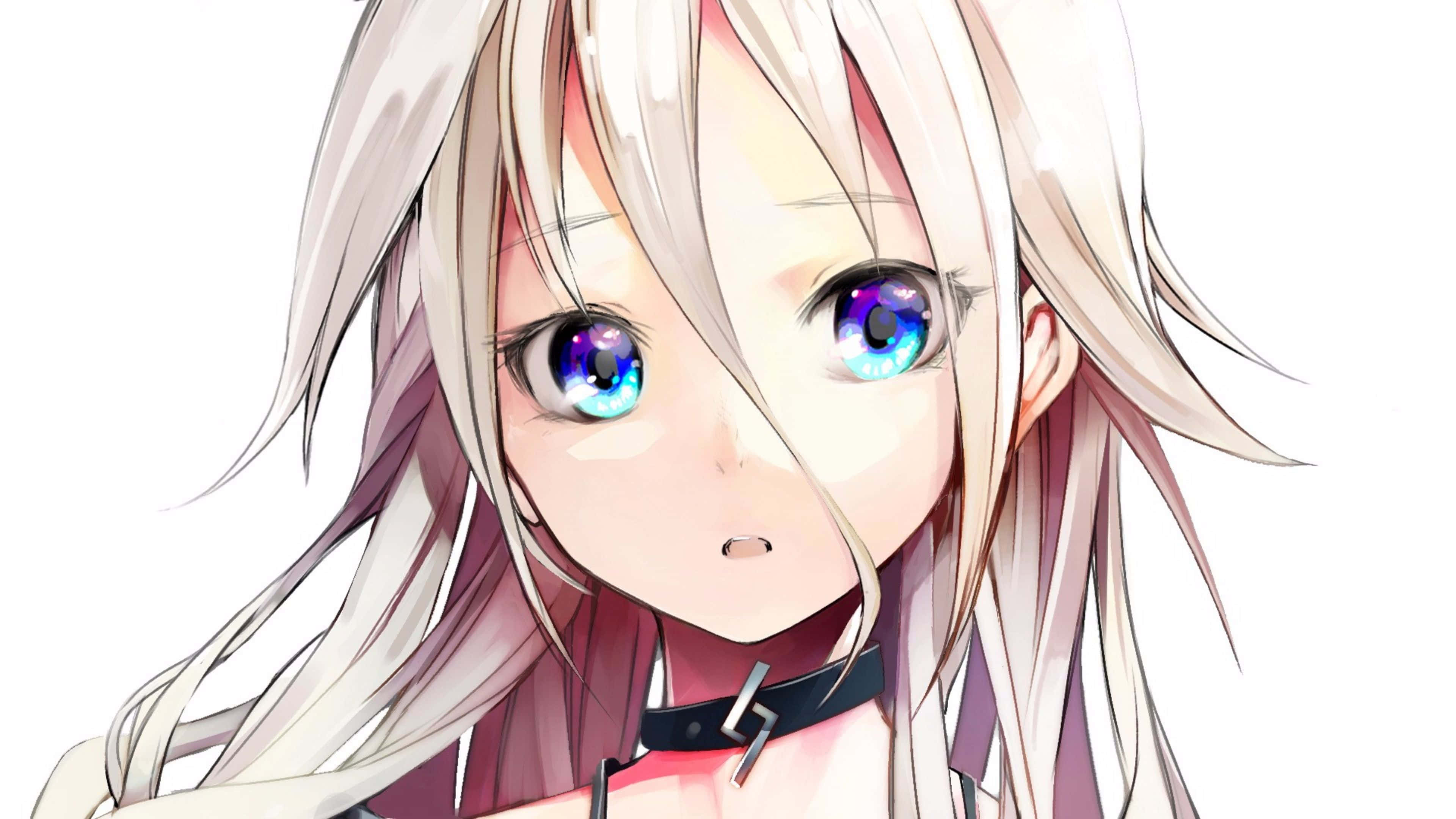 随时随地畅享惊艳4K动漫！ 壁纸