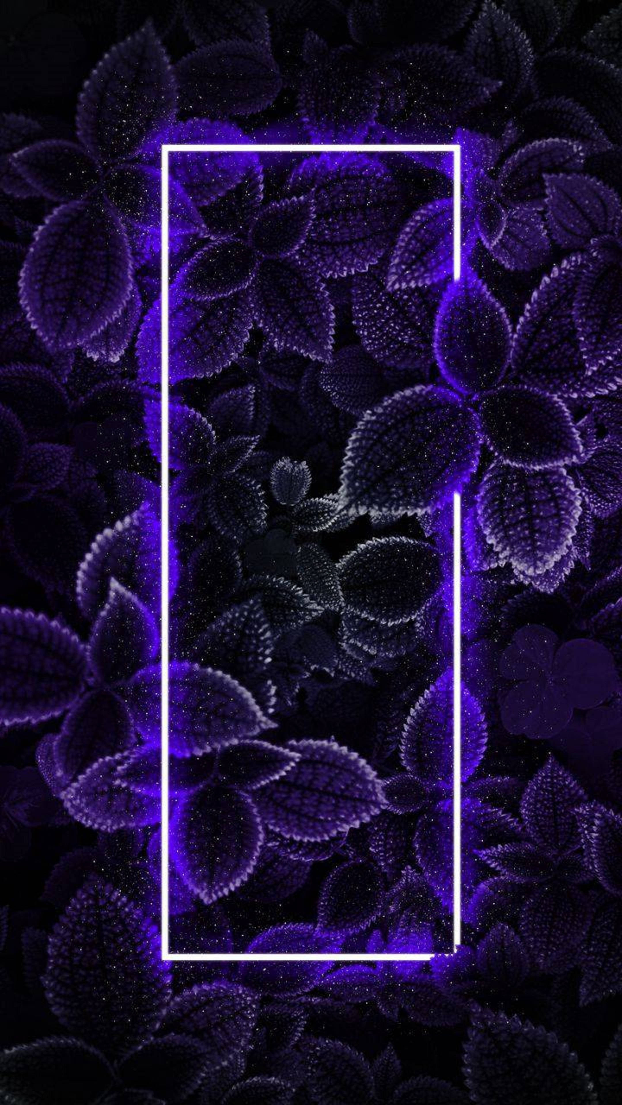 4K霓虹iPhone绿叶 壁纸