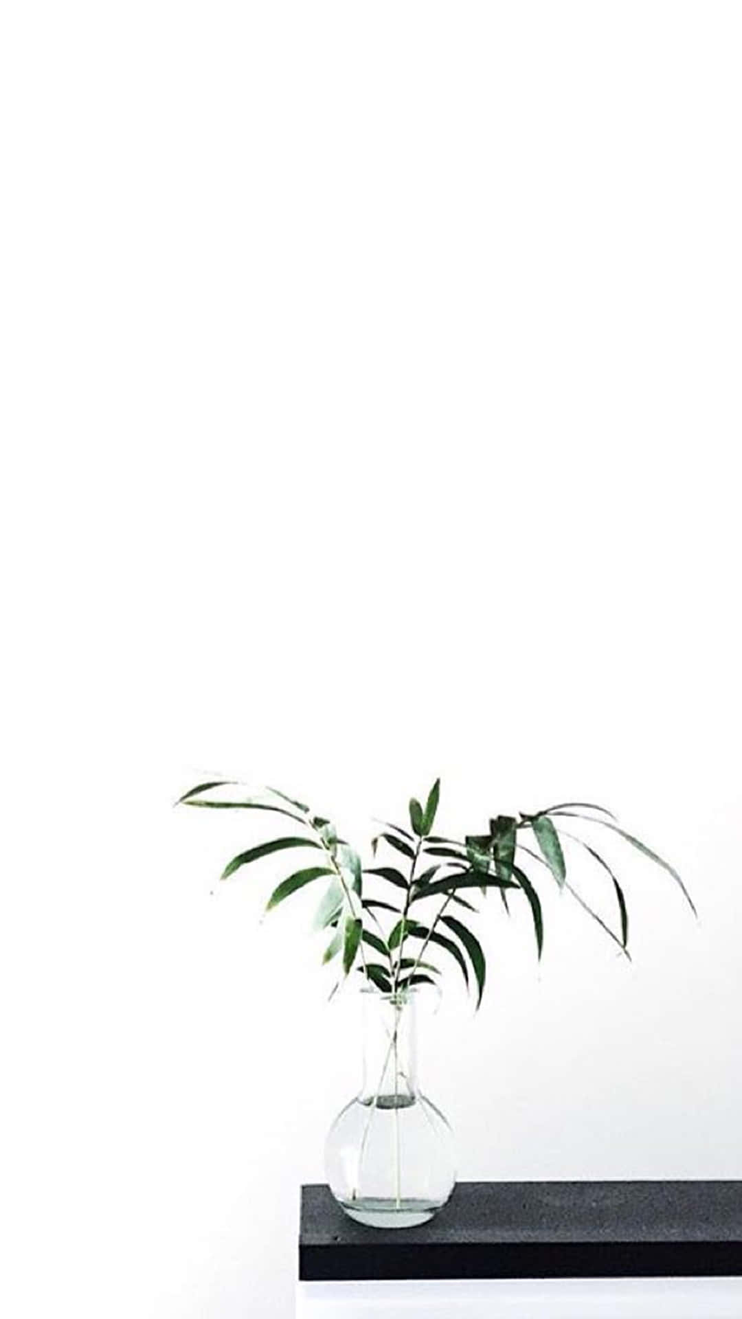 让世界知道，Aesthetic White 能让你时刻保持精致利落。 壁纸