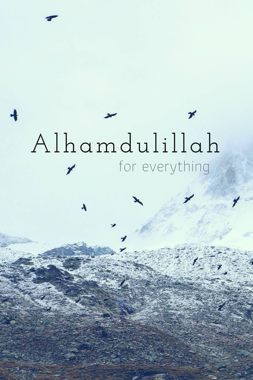 Alhamdulillah 飞鸟与群山 壁纸