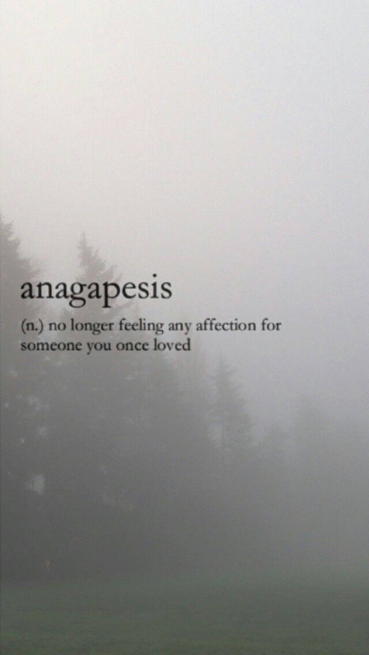 Anagapesis 美学词汇 壁纸