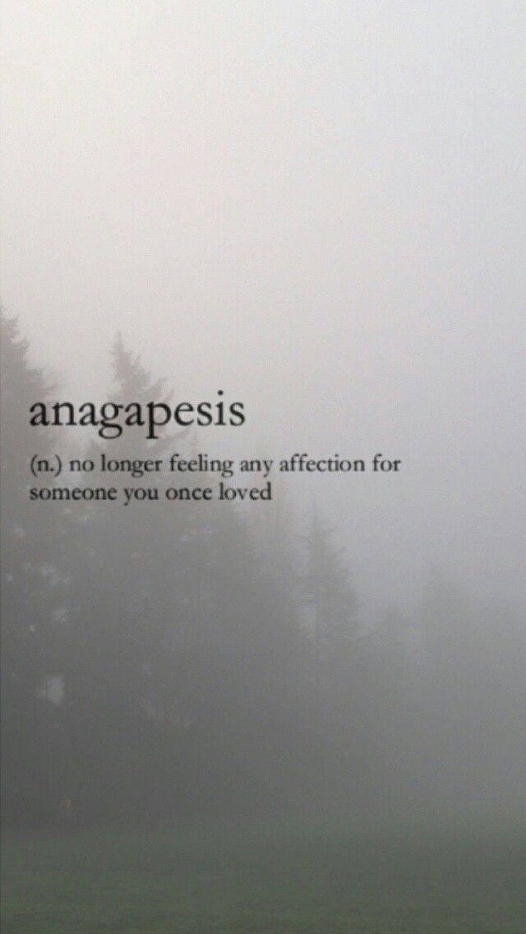 Anagapesis 美学词汇壁纸