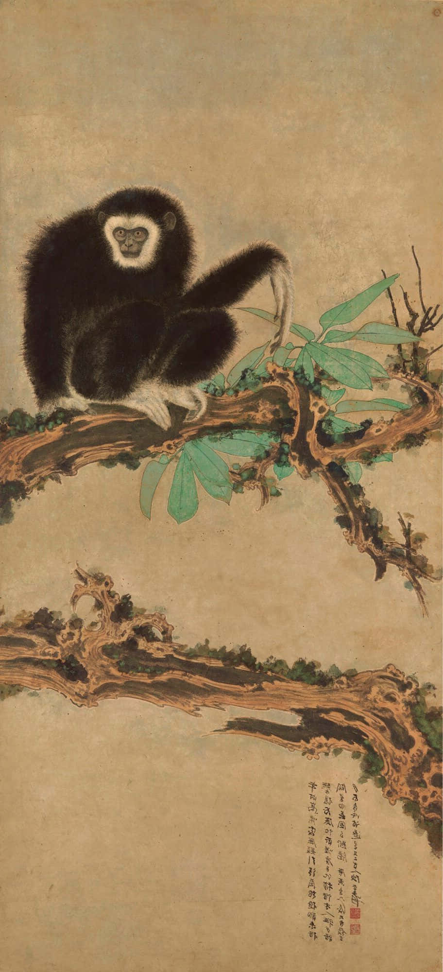 一只长臂猿坐在树枝上的Android背景 壁纸