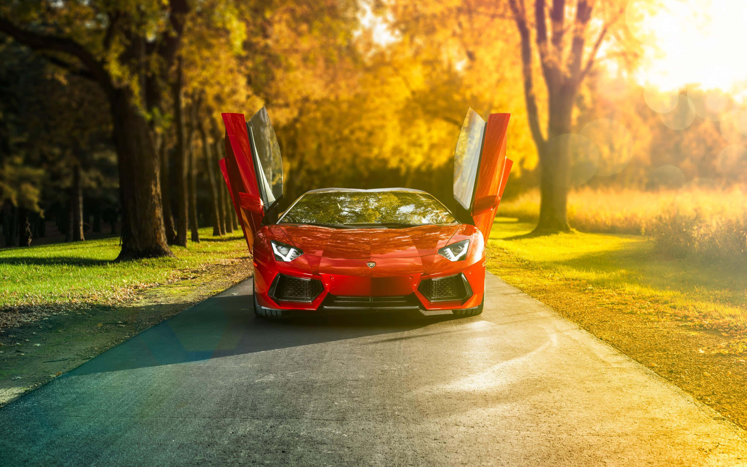鸥翼门兰博基尼Aventador 壁纸