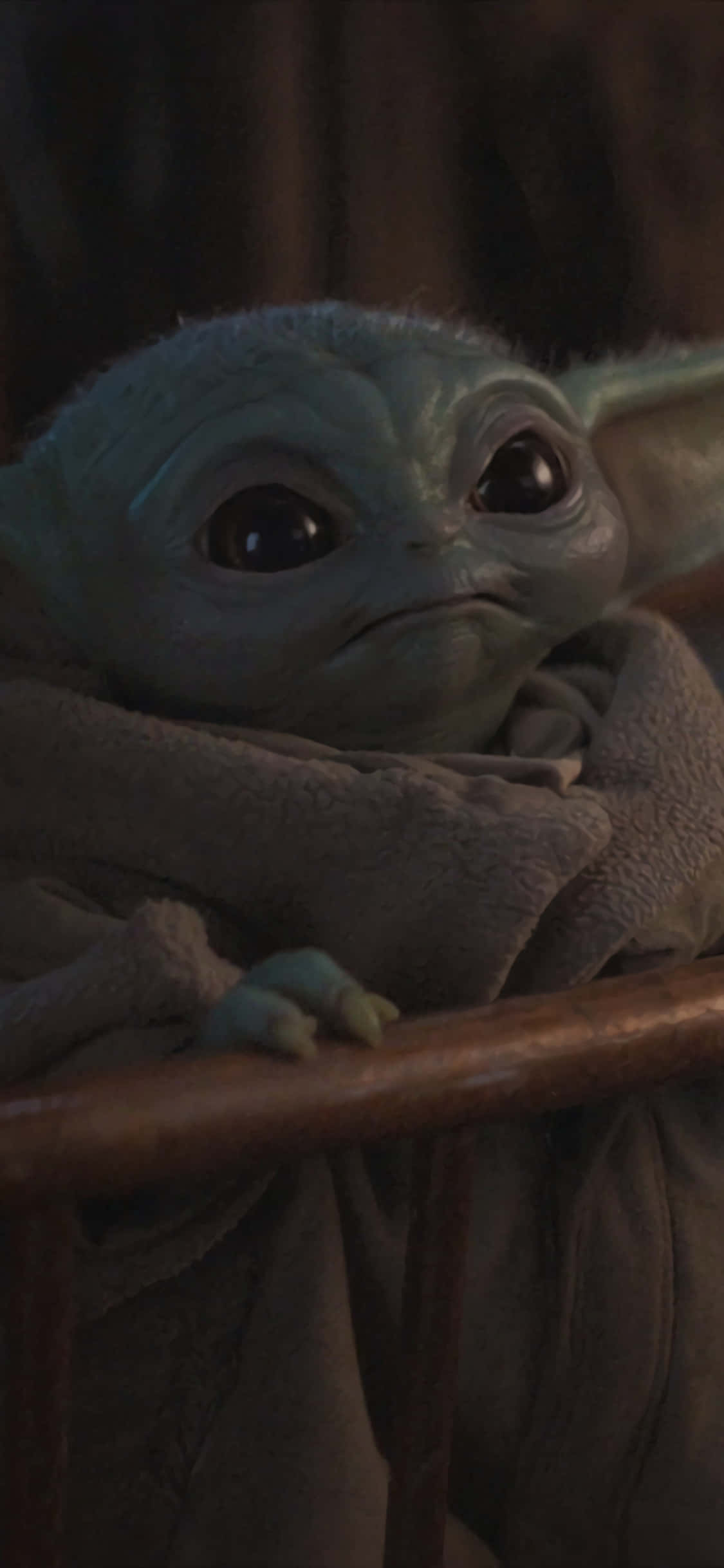 Baby Yoda Zoom 背景 壁纸
