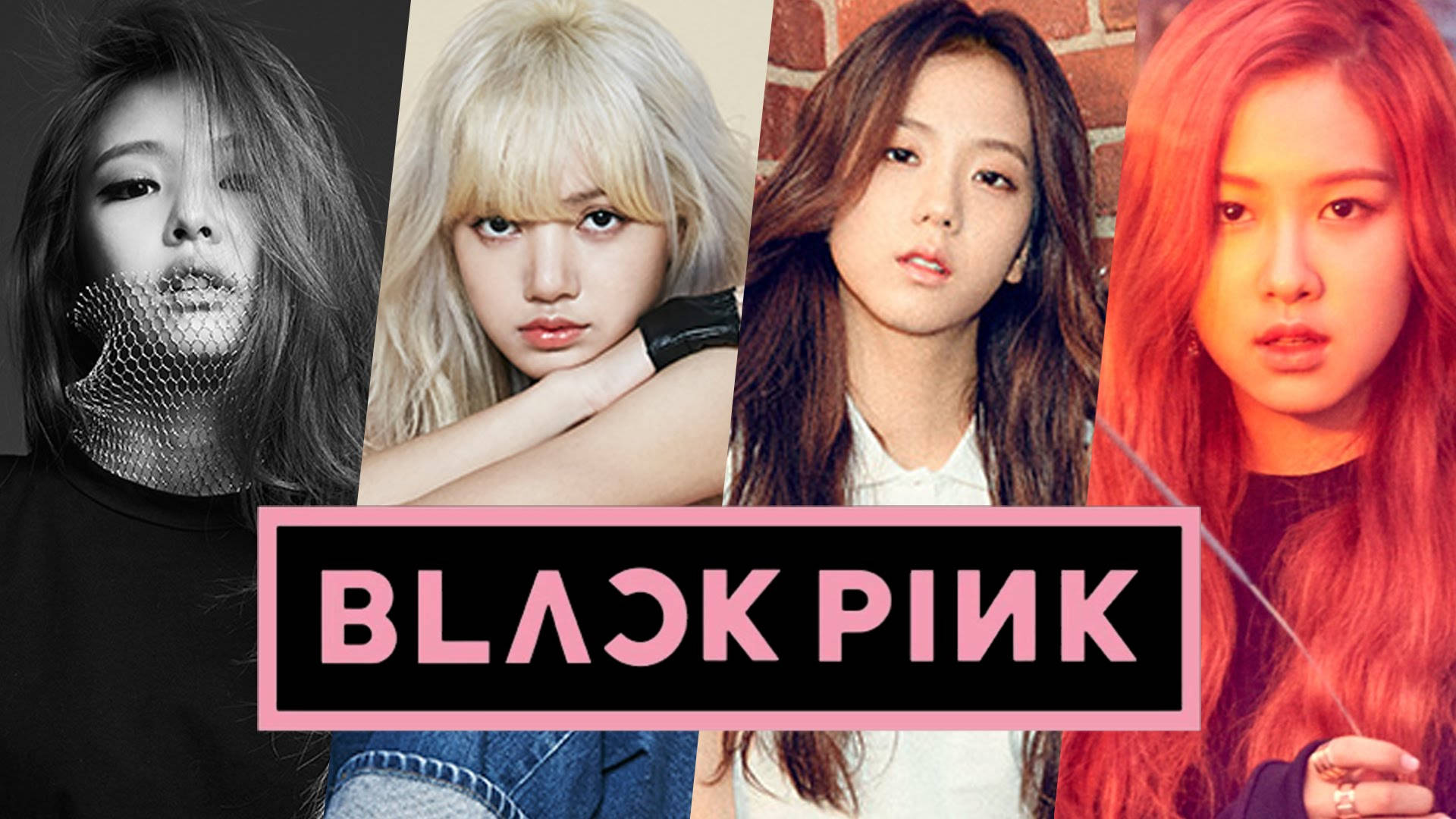 Blackpink 成员横幅与标志 壁纸
