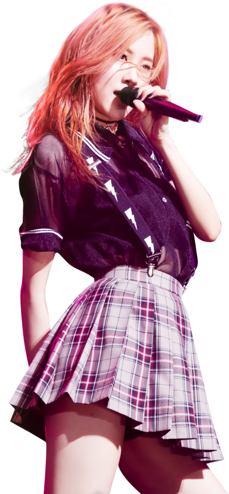 Blackpink成员舞台表演 壁纸