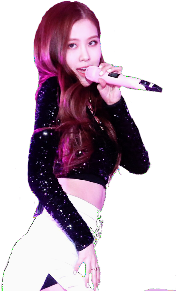 Blackpink 成员舞台献唱 壁纸