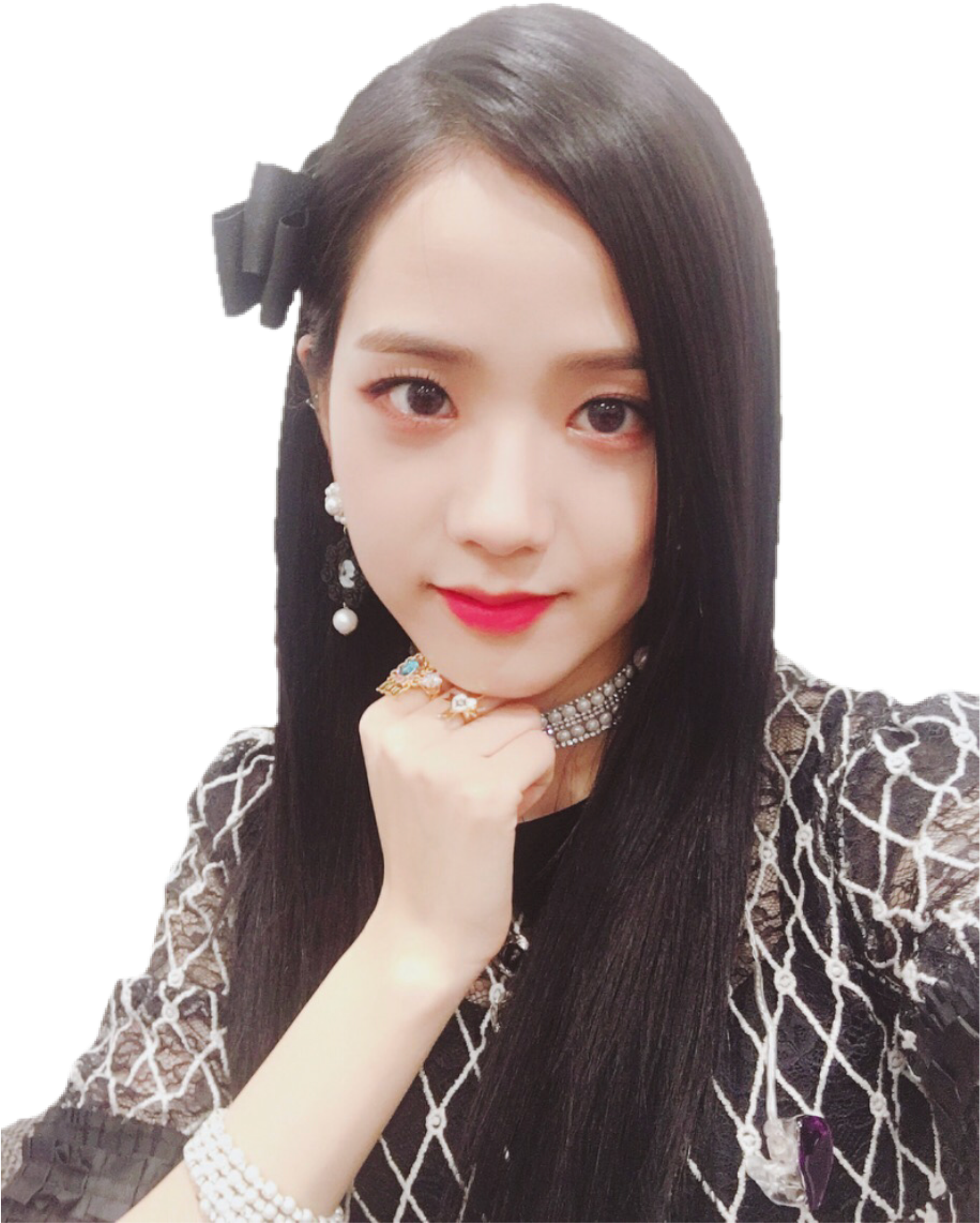 优雅的Blackpink成员肖像 壁纸