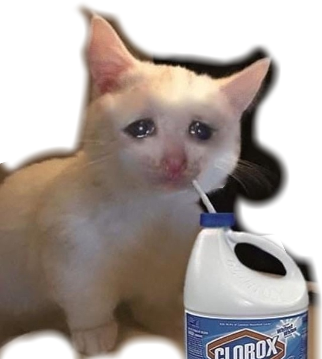 哭泣猫咪喝 bleach 表情包 壁纸