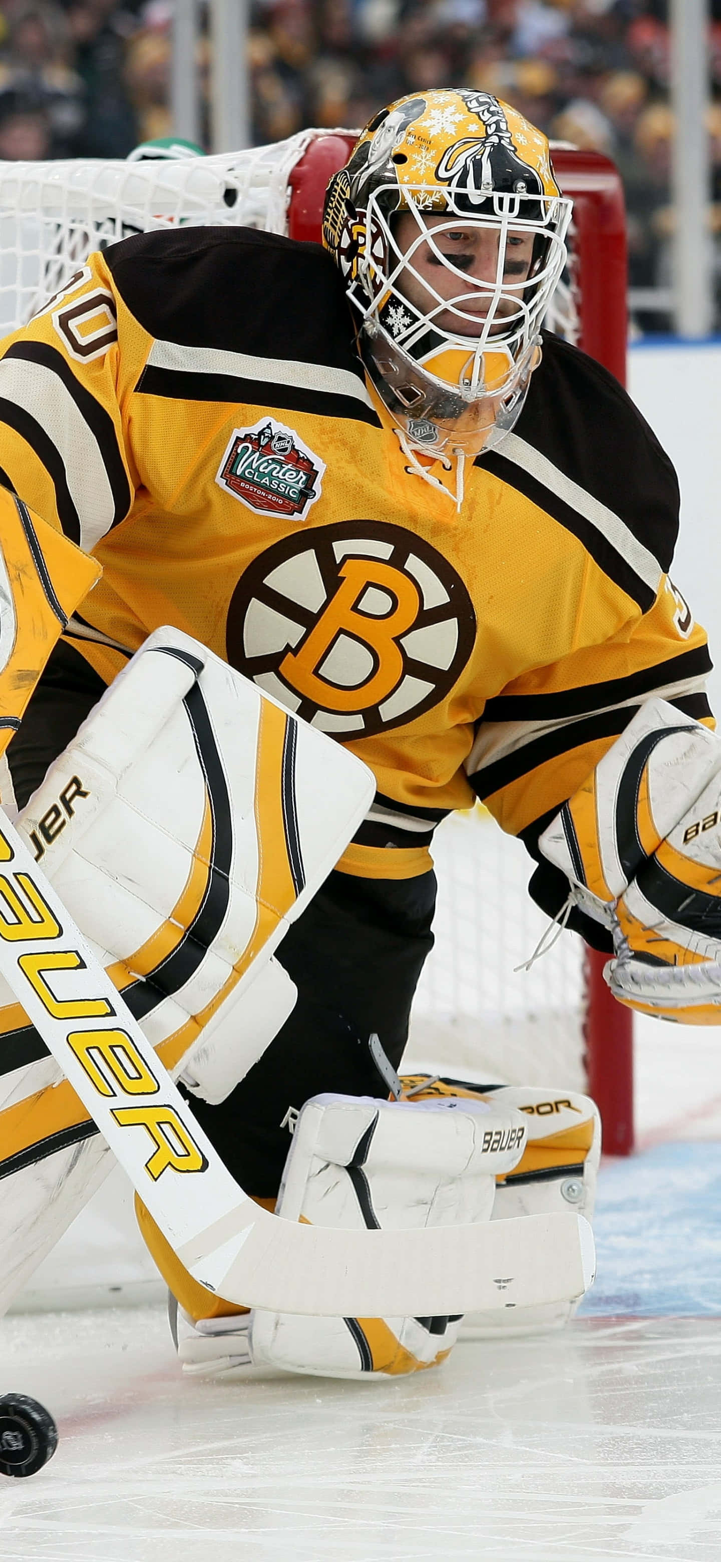 在家中为波士顿 Bruins 加油 壁纸