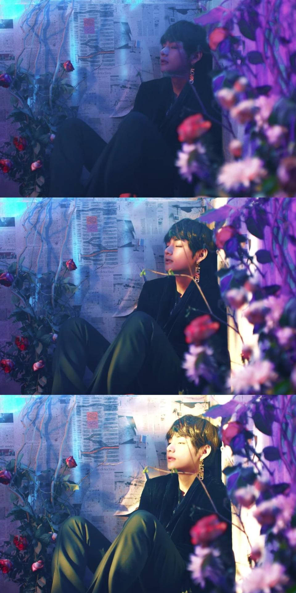 BTS V 花卉墙面美学 壁纸