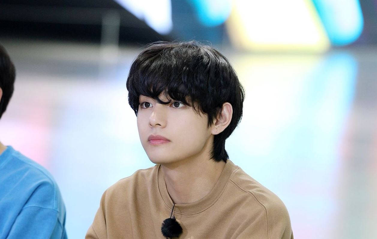 BTS V 身着棕色衬衫 壁纸