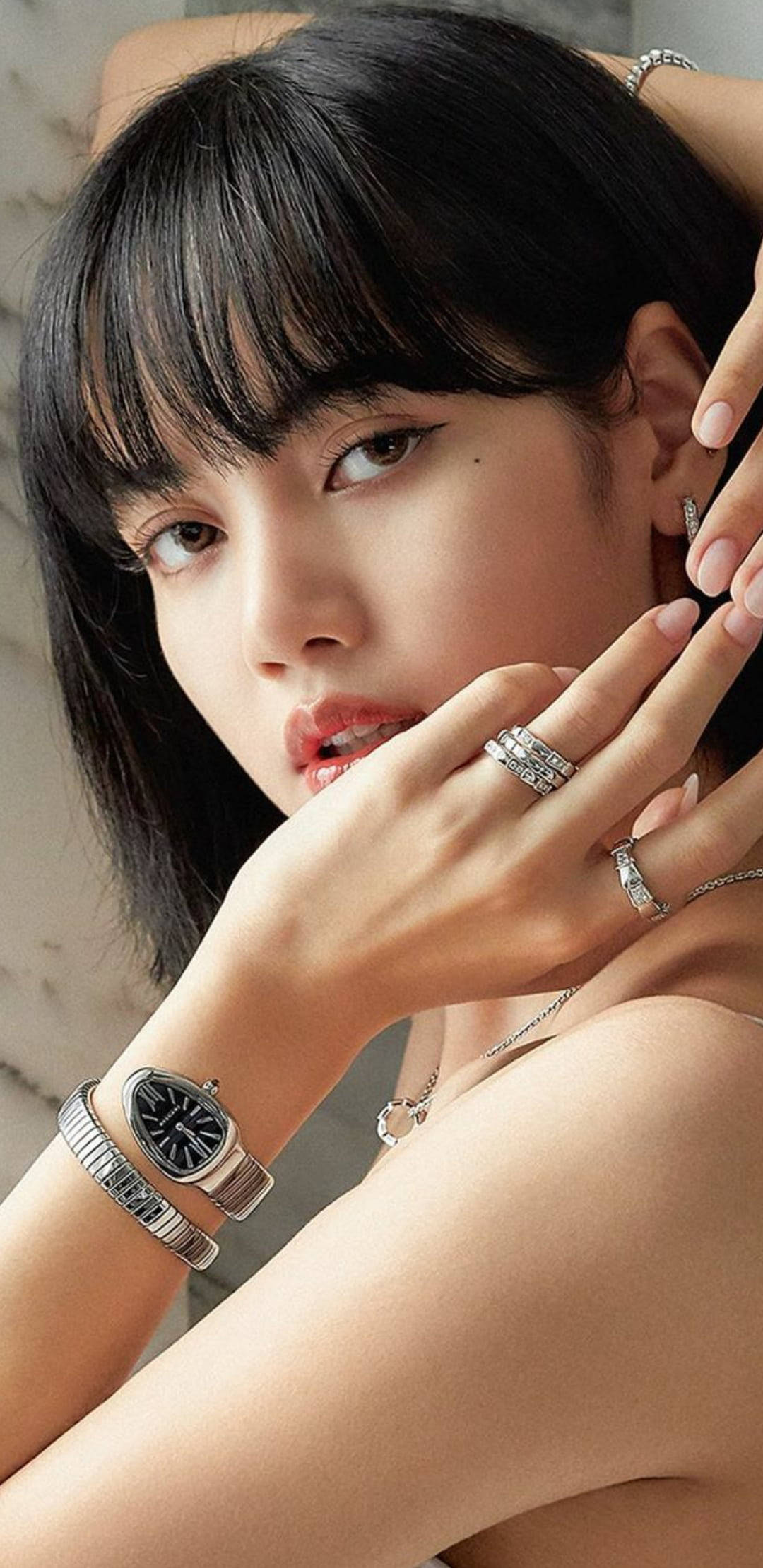 优雅的BVLGARI Lisa Blackpink高清壁纸 壁纸