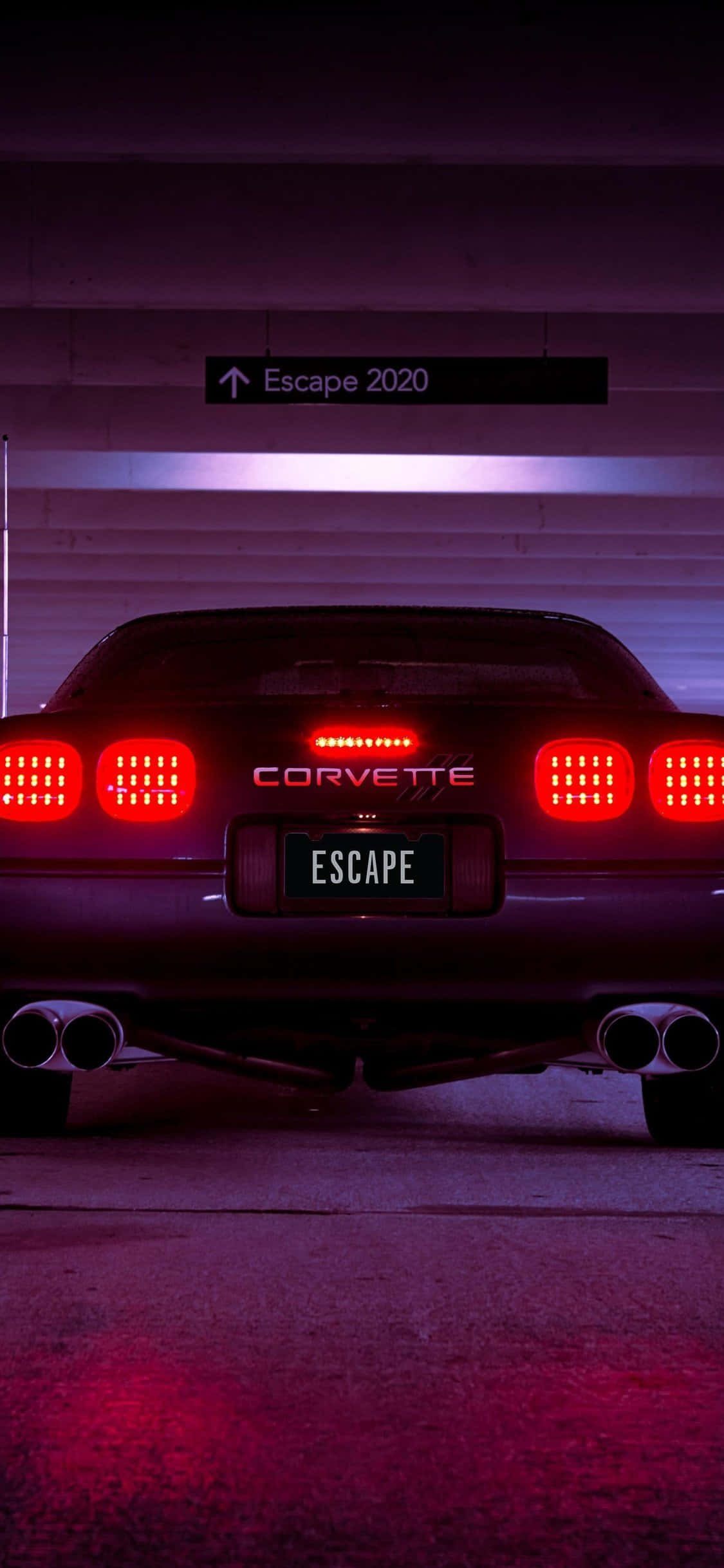 C4 Corvette图片 壁纸