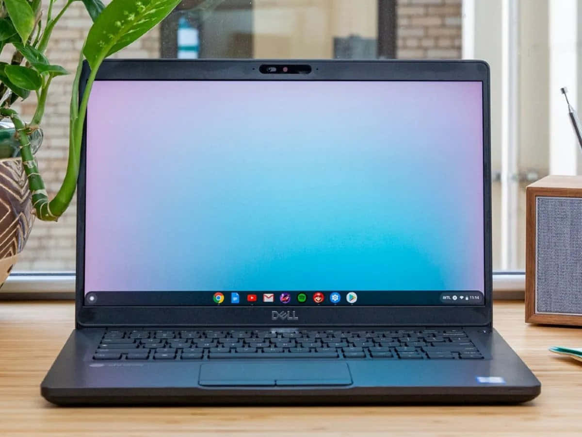 Chromebook 介绍：一款价格实惠且精致的笔记本电脑 壁纸