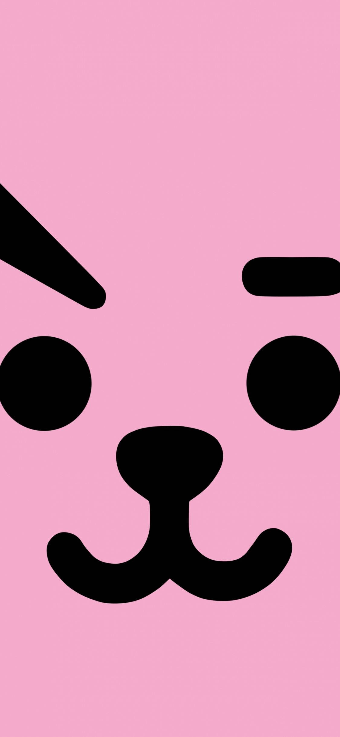 Cooky BT21 全脸 壁纸