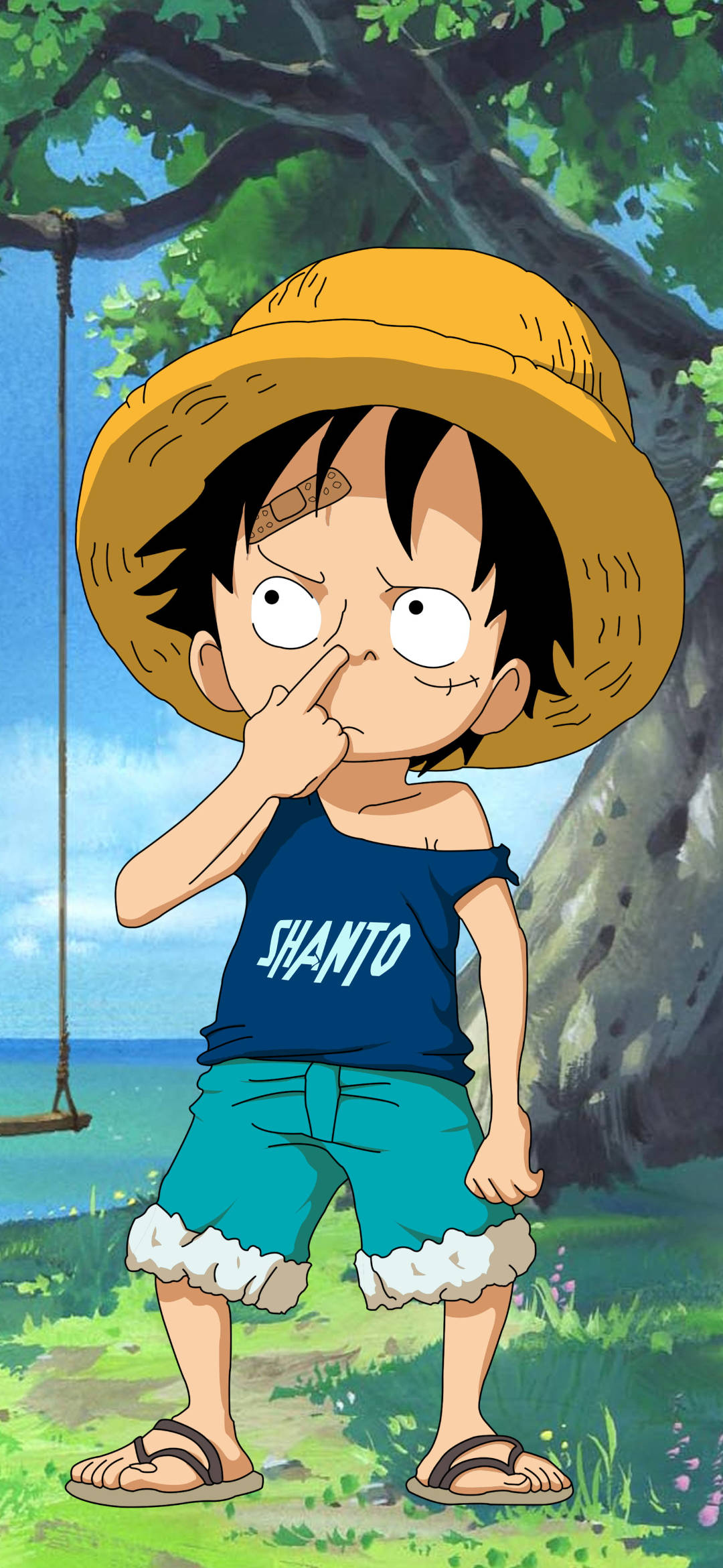 蒙奇·D·路飞 少年 壁纸