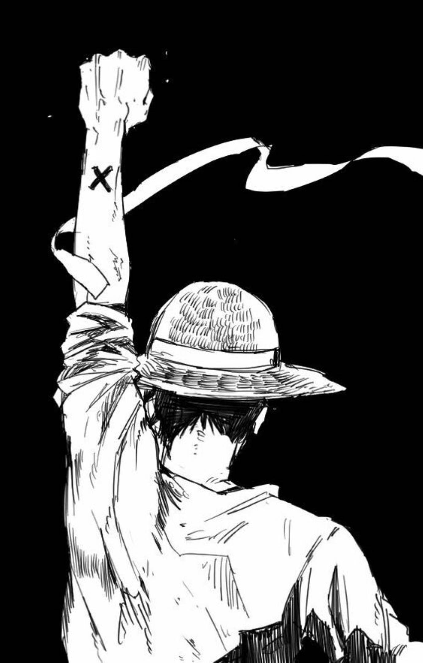 蒙奇·D·路飞背影素描艺术 壁纸