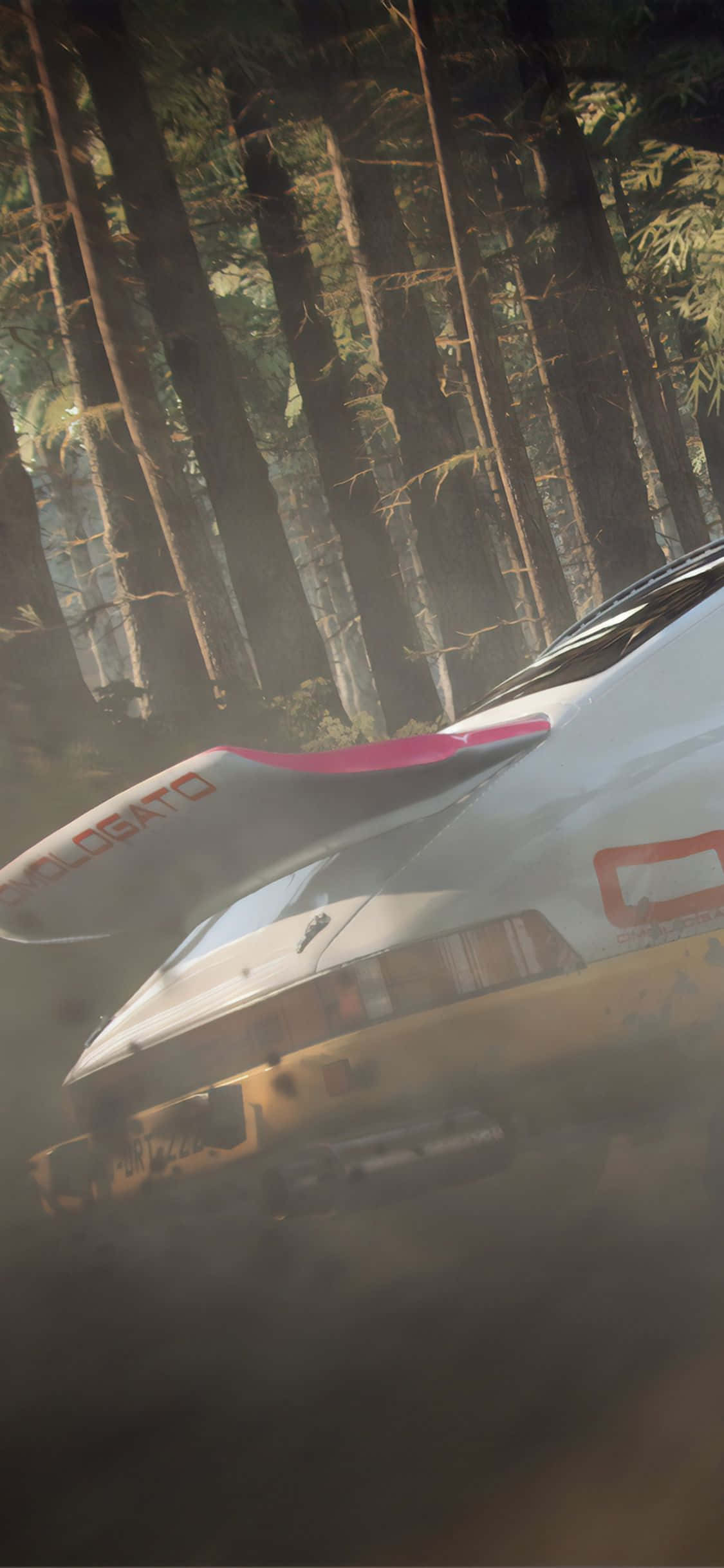 用 Dirt Rally 壁纸时尚展示你的 iPhone Xs 壁纸