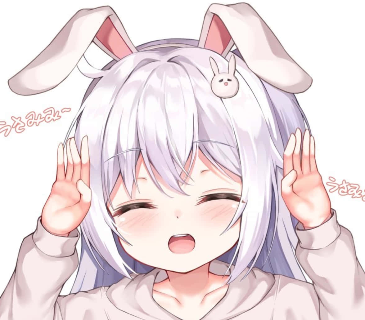 Discord动漫头像快乐小兔 壁纸