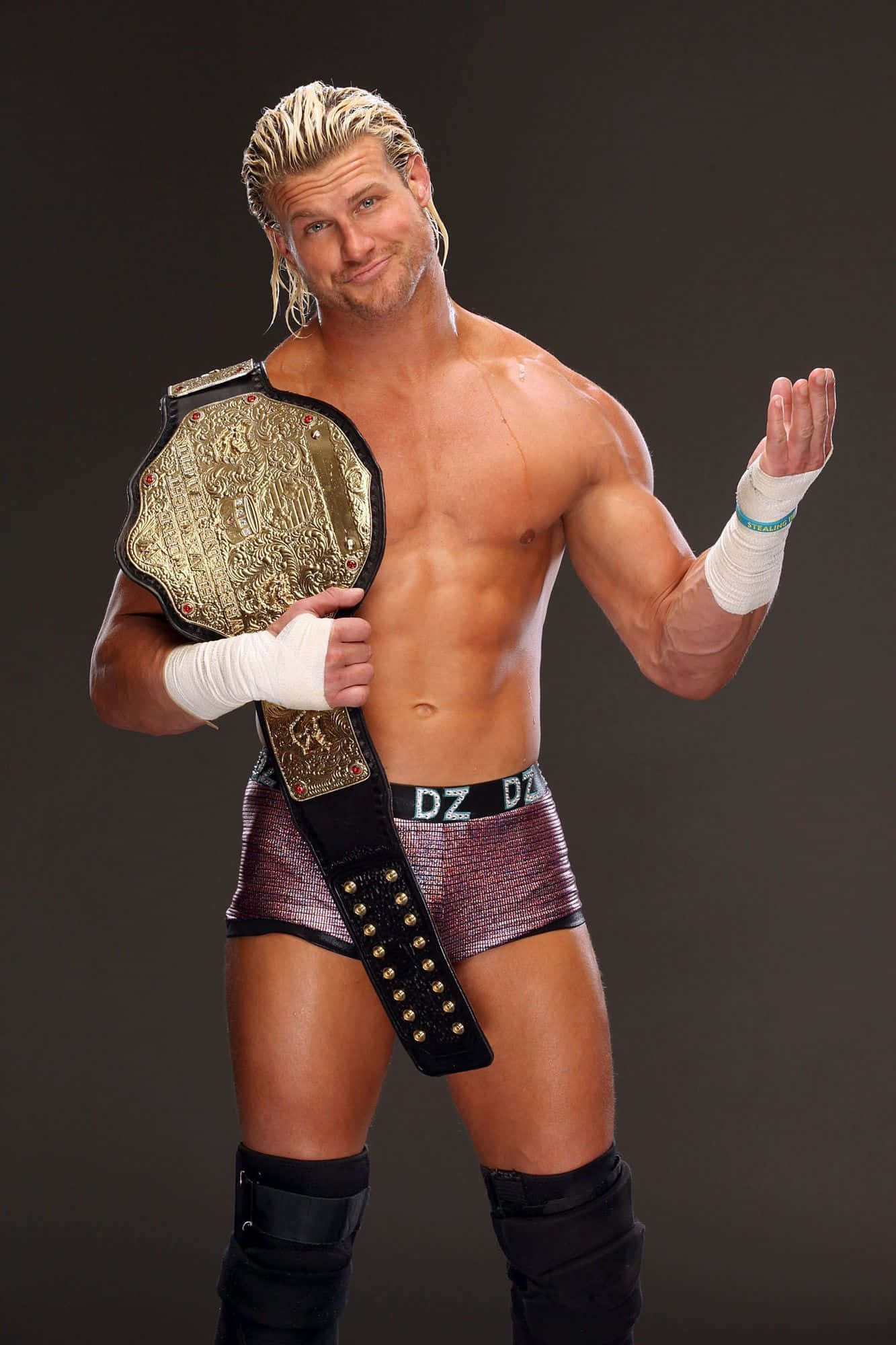 Dolph Ziggler WWE 冠军 壁纸
