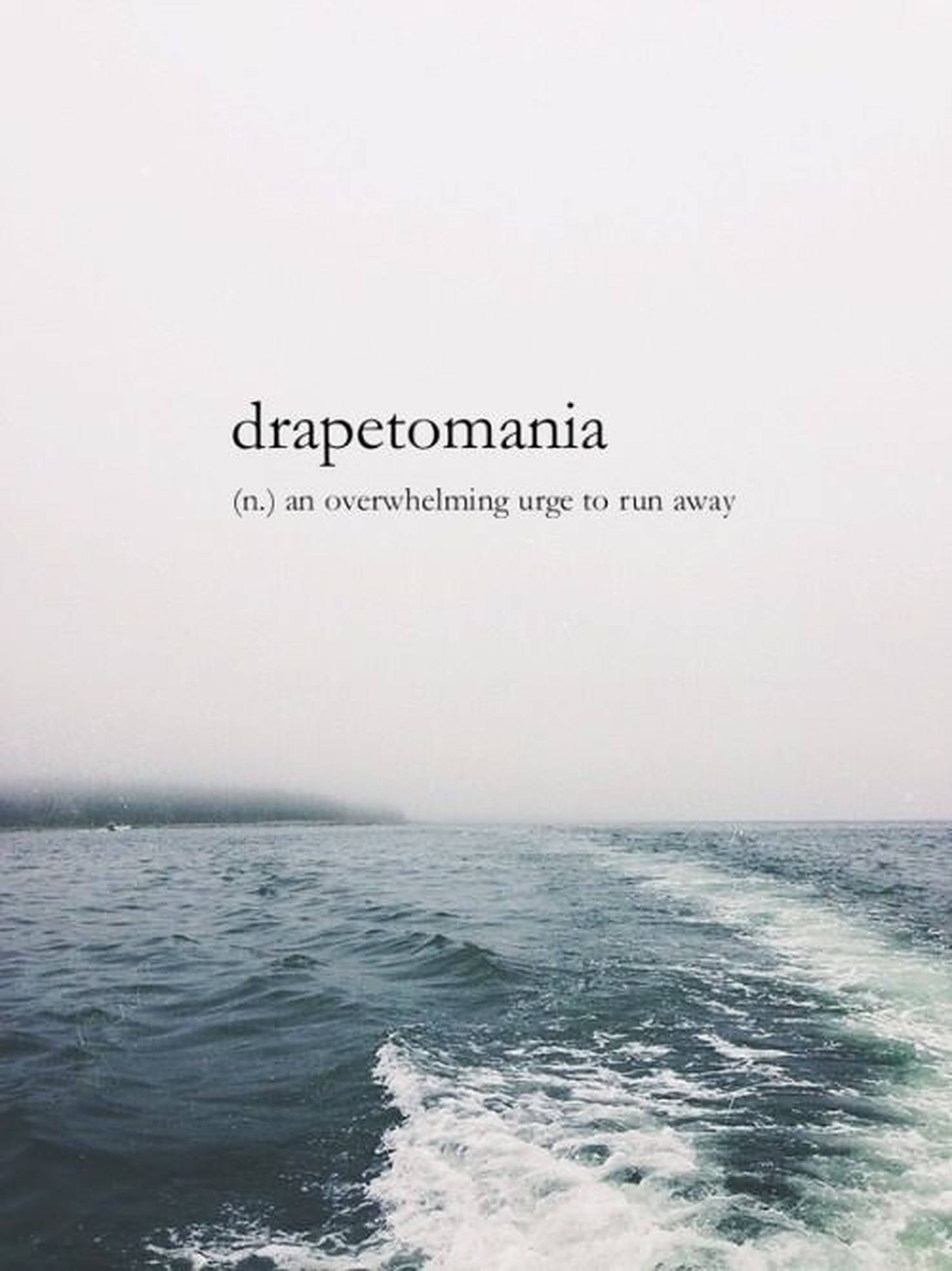 Drapetomania 美学词汇 壁纸