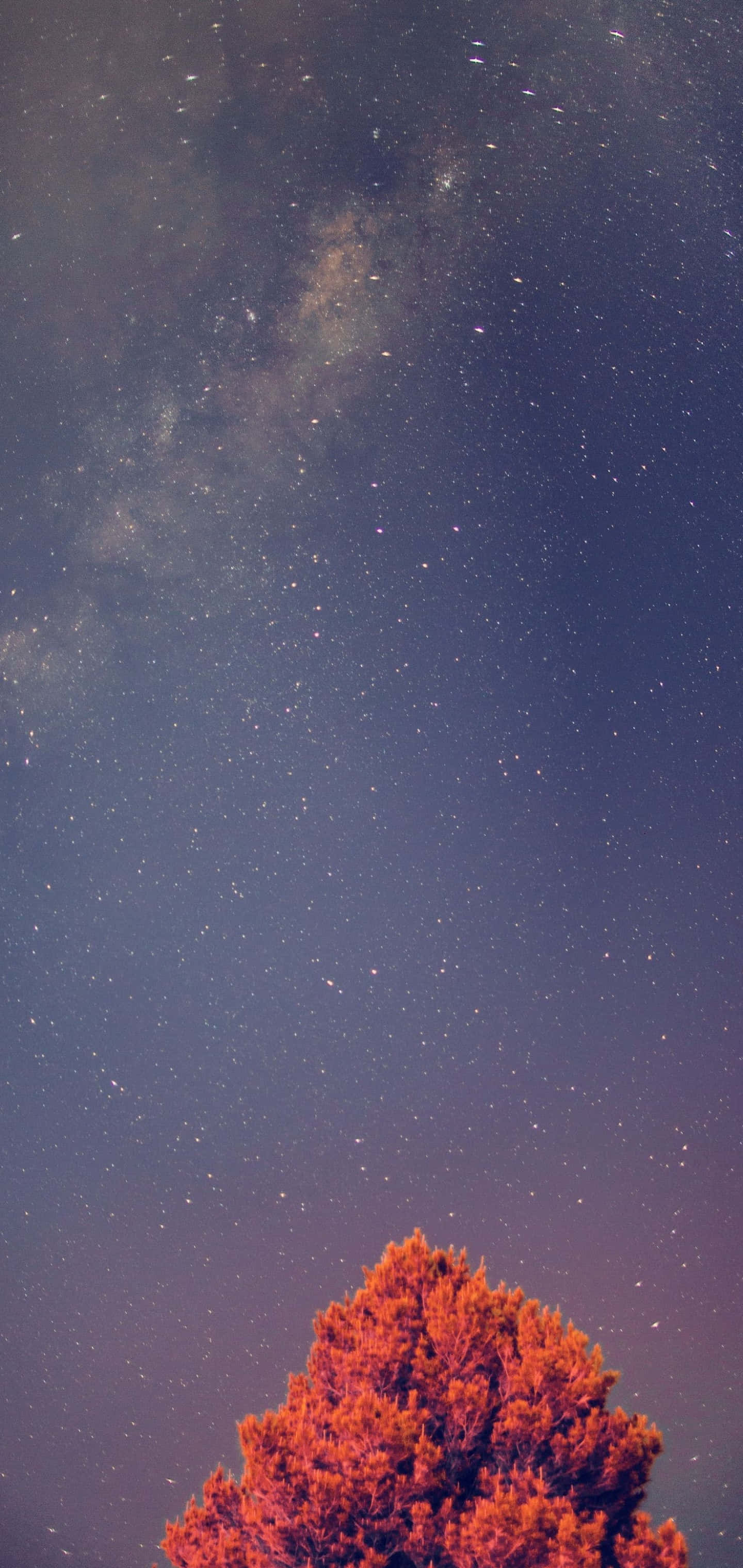 Galaxy S10 Plus 壁纸