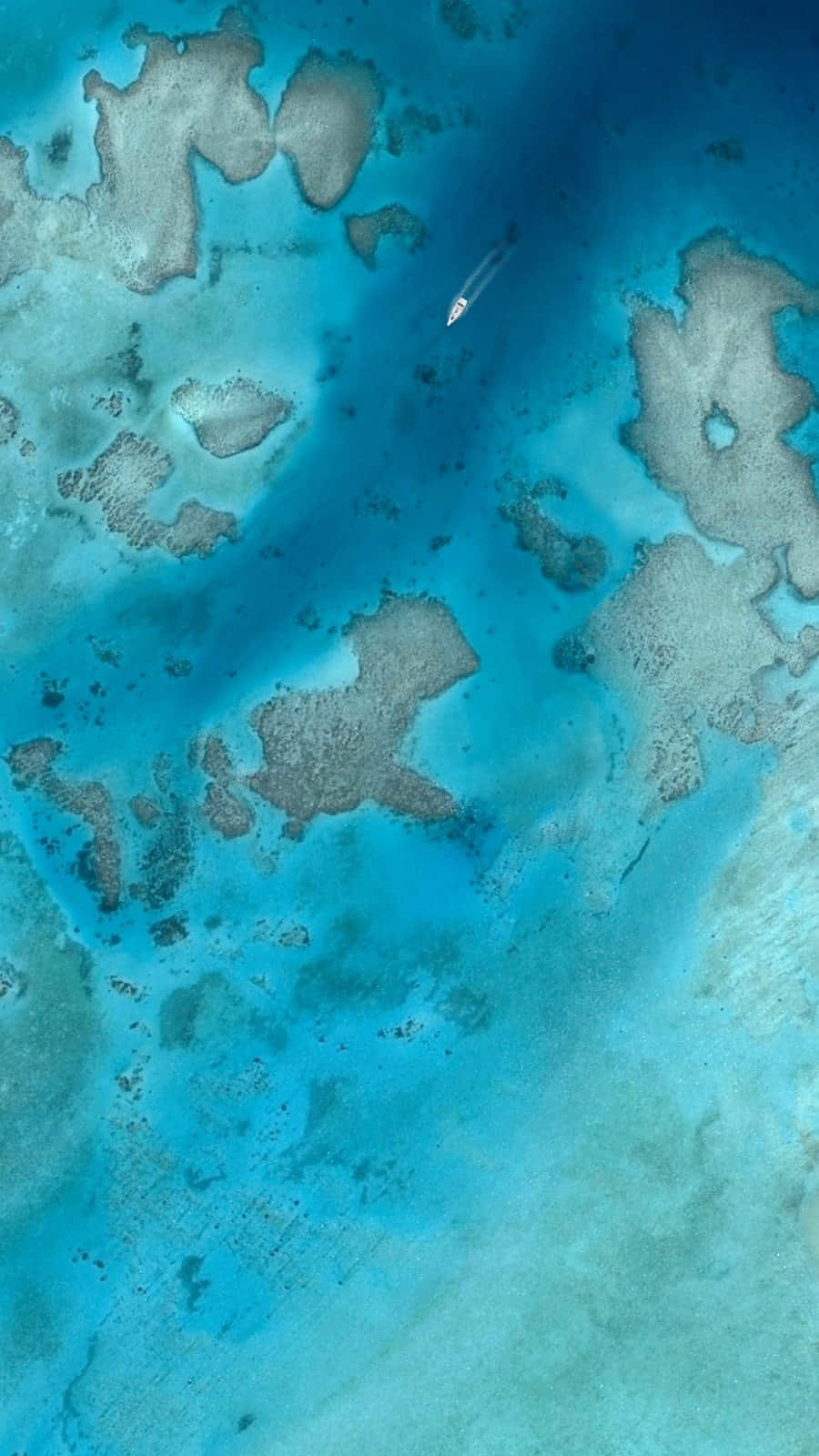 精致 Google Pixel 3 主题图片 壁纸