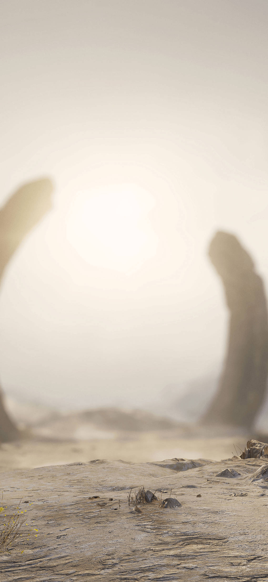 Halo Infinite 泽塔光环 壁纸