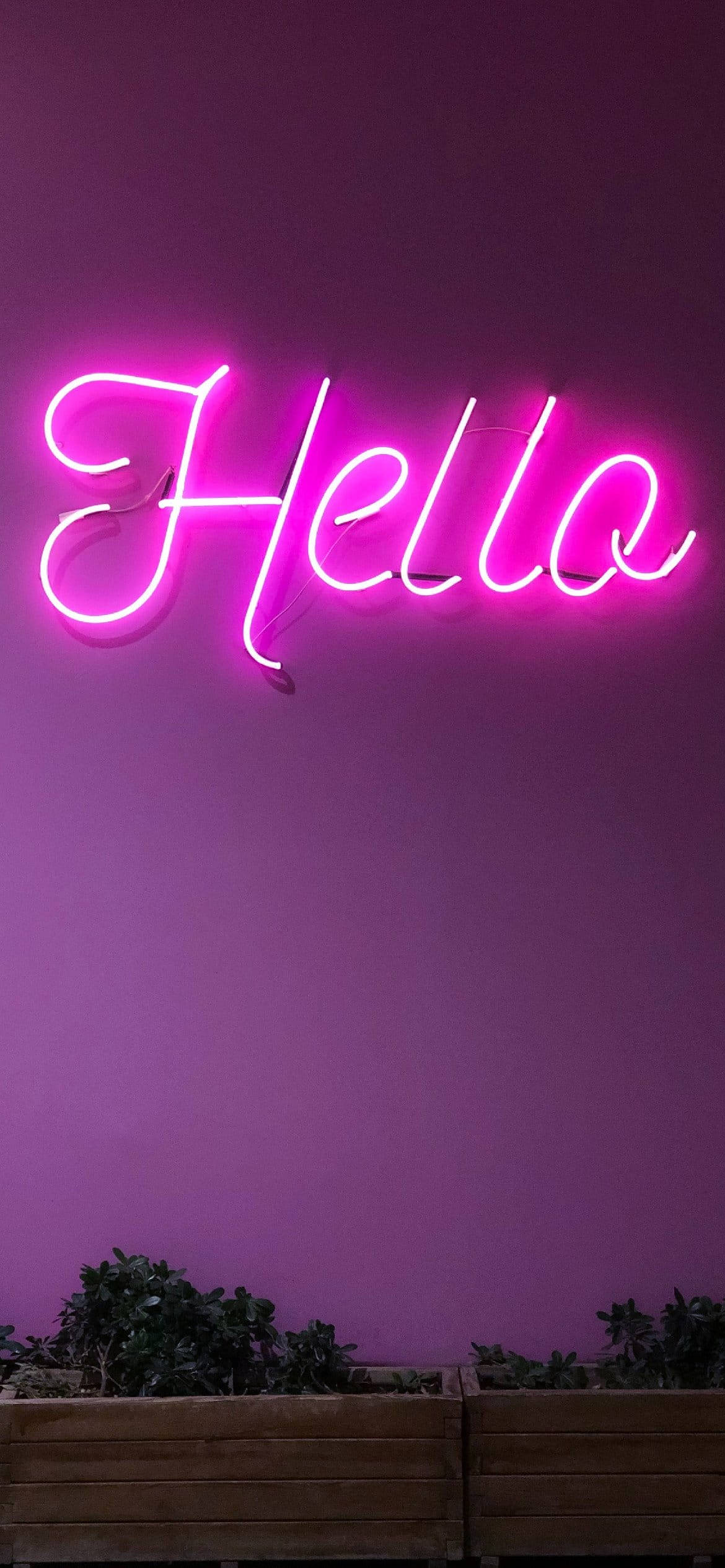 浅紫色霓虹灯美学Hello字样 壁纸