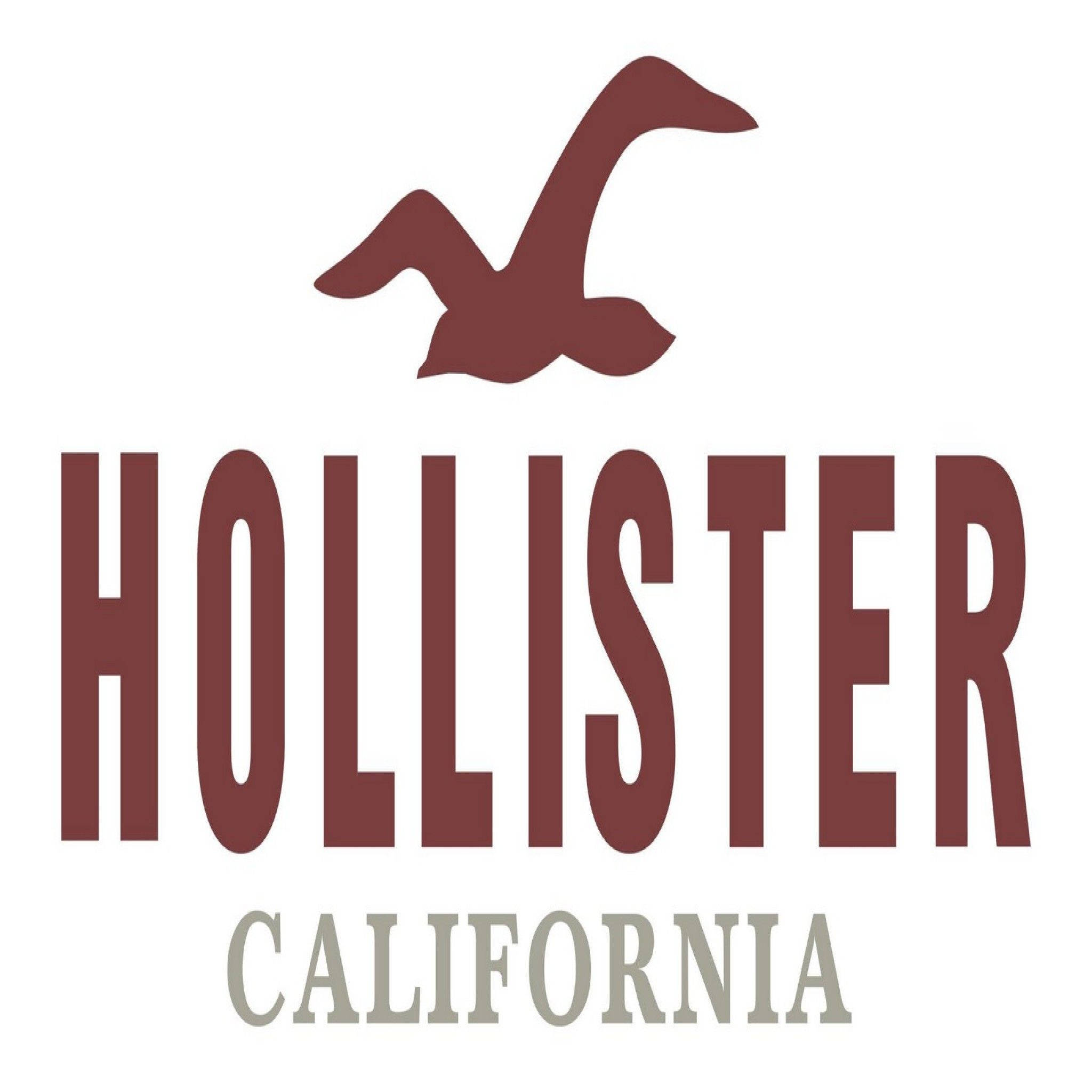 Hollister经典标志 壁纸