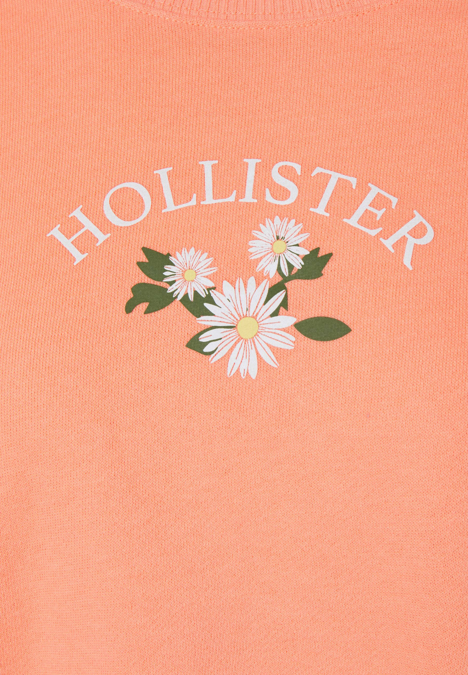 Hollister三朵白色花朵图案 壁纸