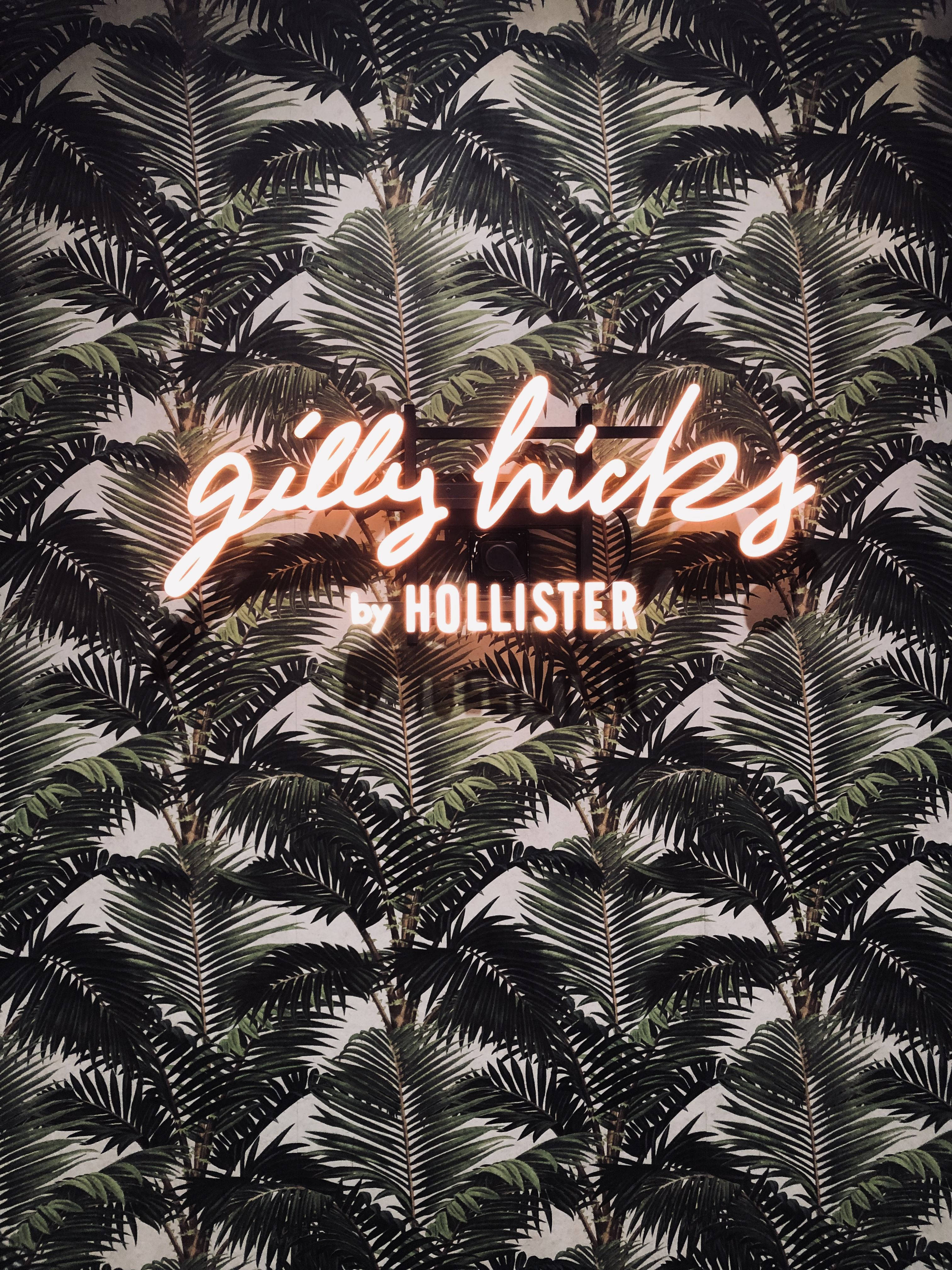 Hollister棕榈树叶 壁纸
