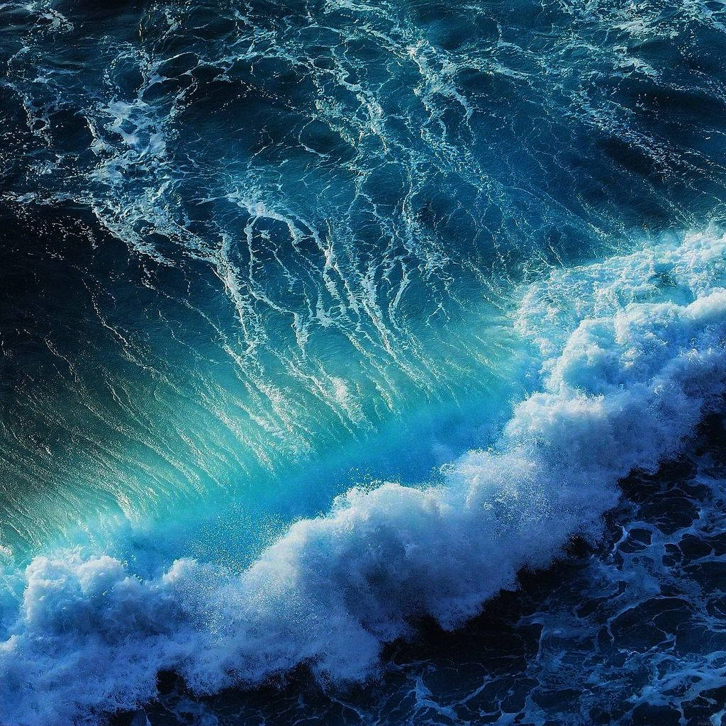 加州海浪 iPad Mini 壁纸