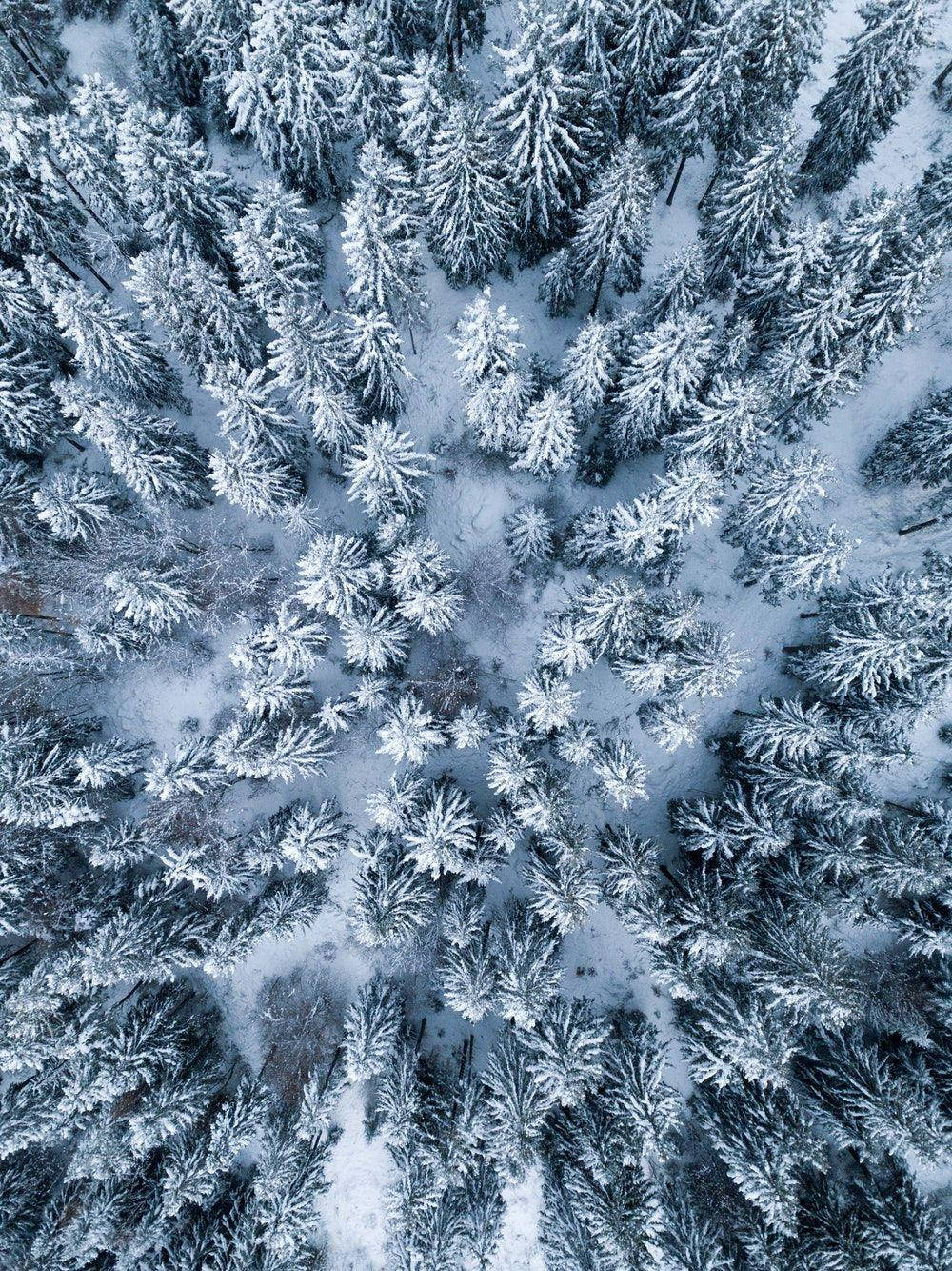 iPad Pro 俯瞰雪林 壁纸