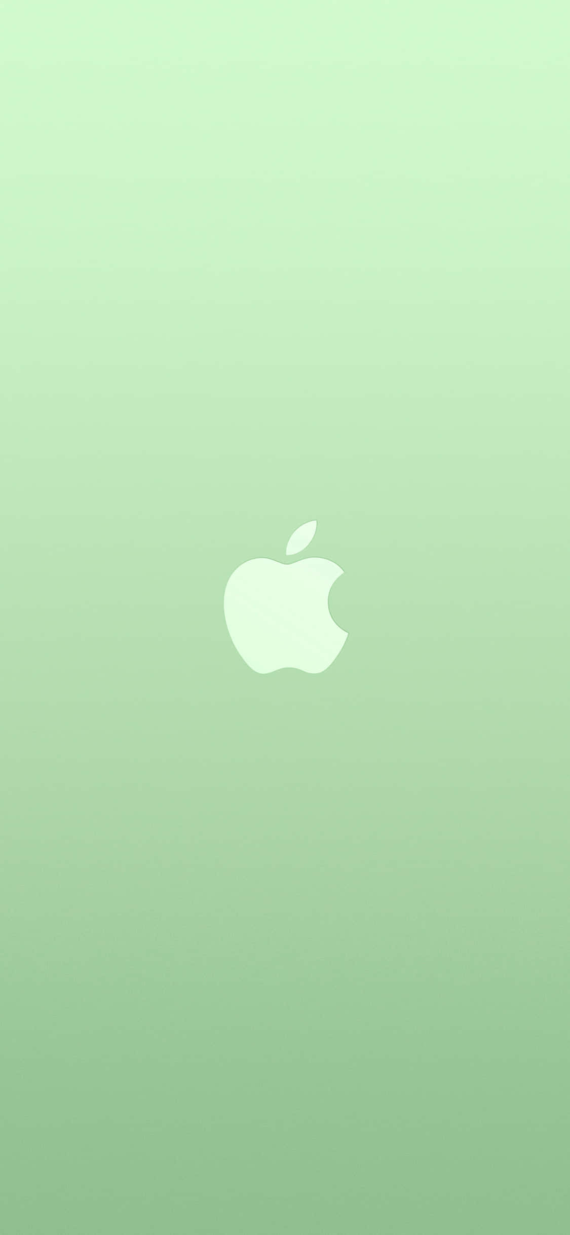 iPhone 11苹果标志绿色背景 壁纸