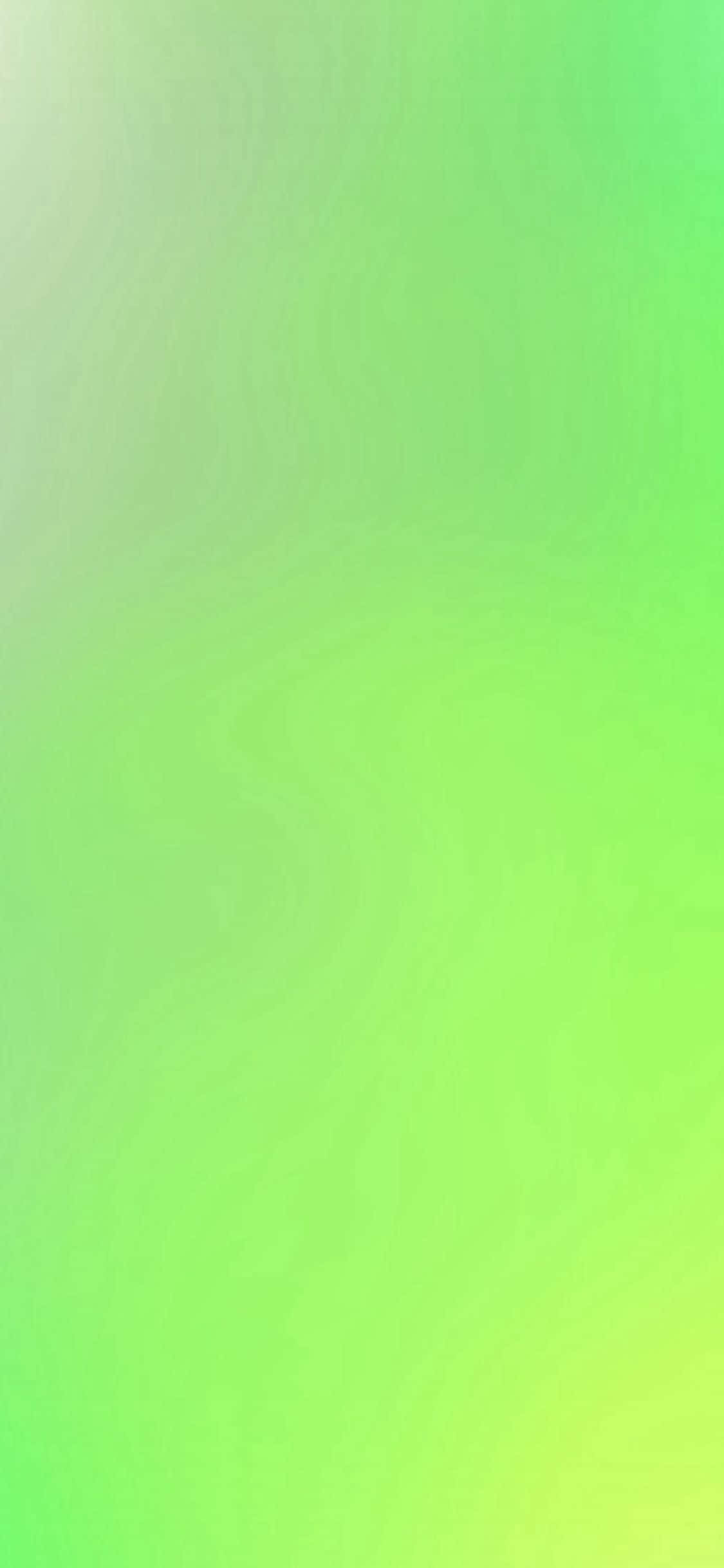 iPhone 11 清新绿色 壁纸