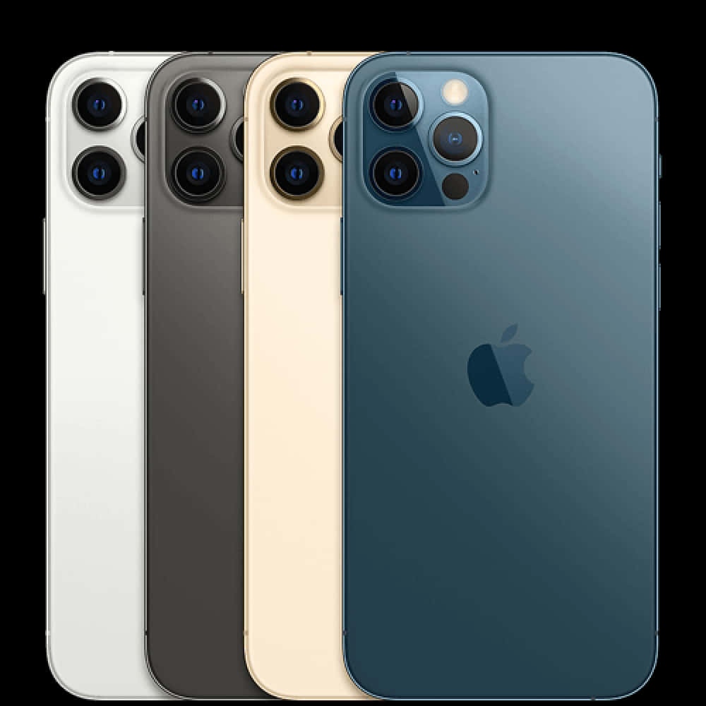 iPhone 12 颜色选择 壁纸