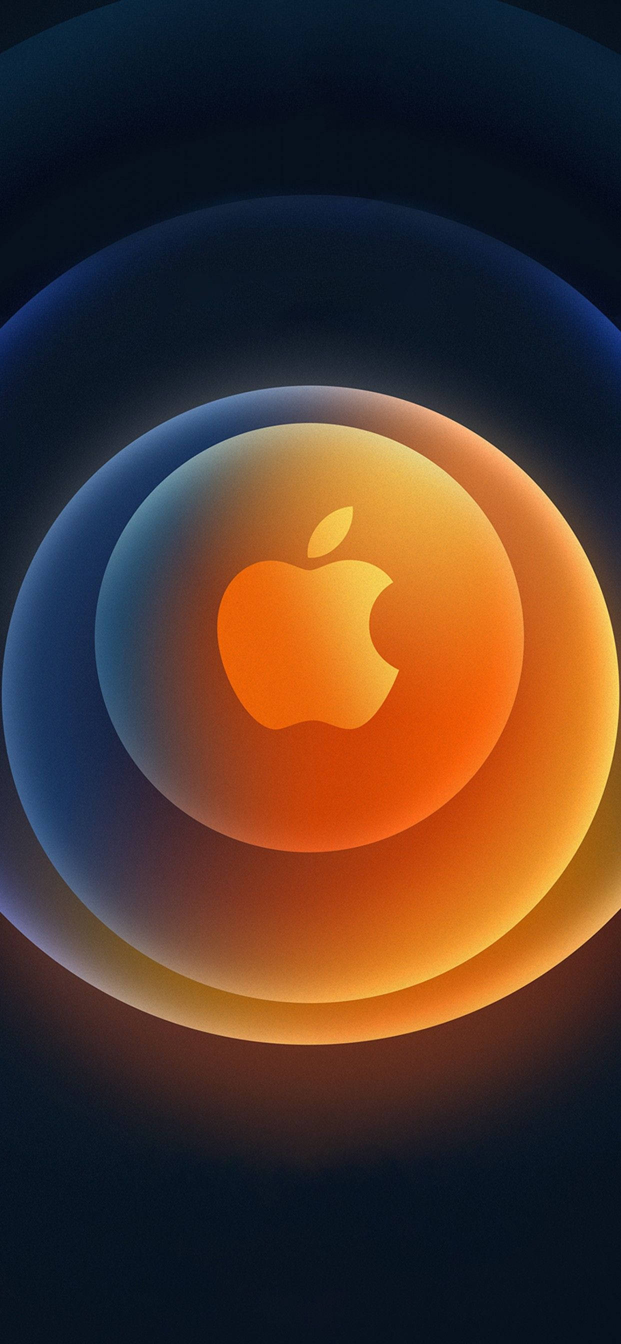 iPhone 12 Pro Max 金色标志 壁纸