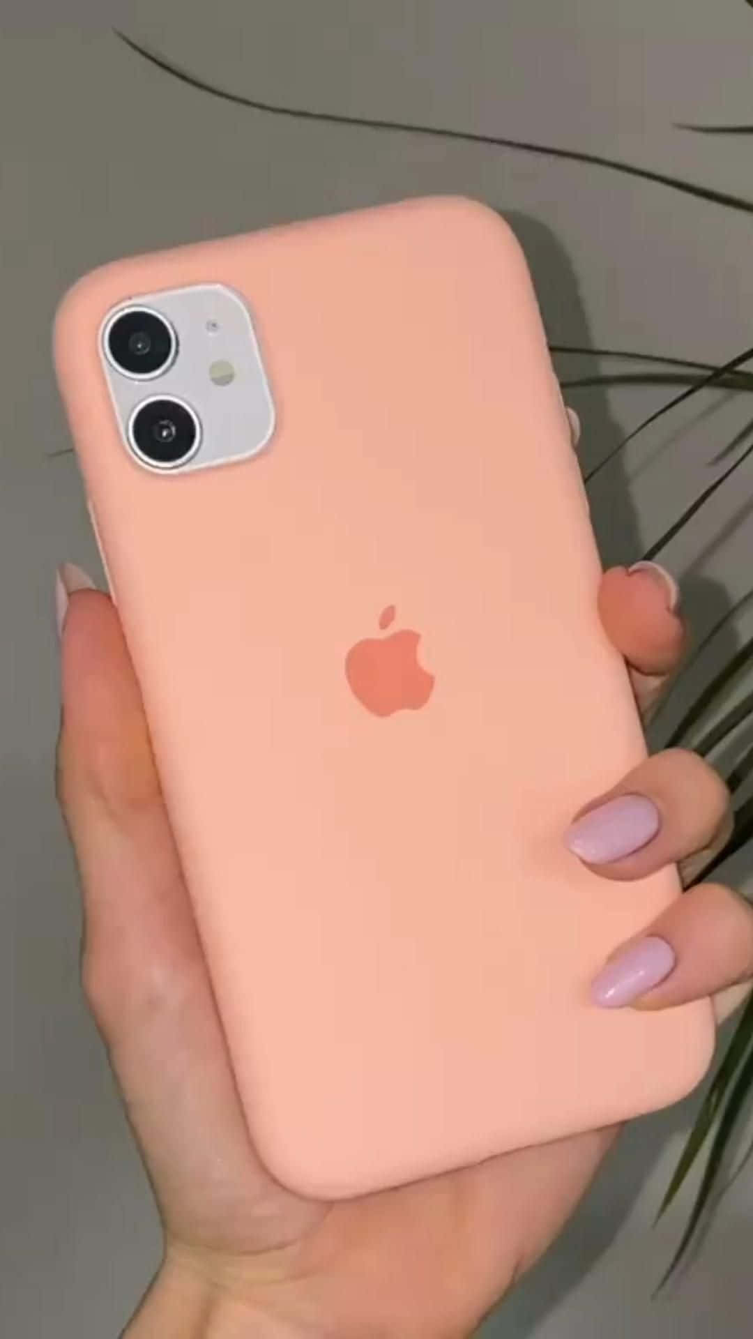 iPhone 12 图片 壁纸