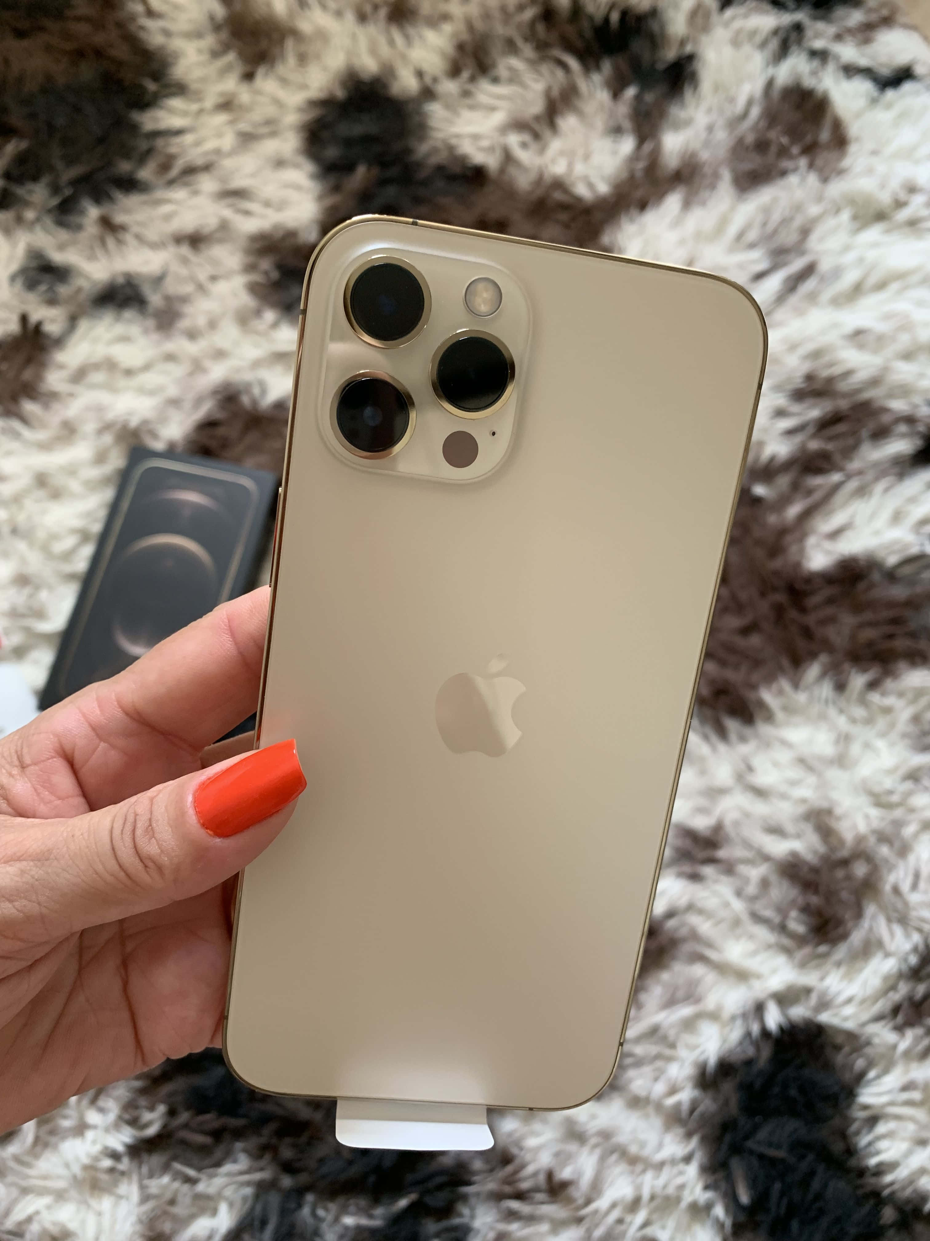 iPhone 12 图片 壁纸
