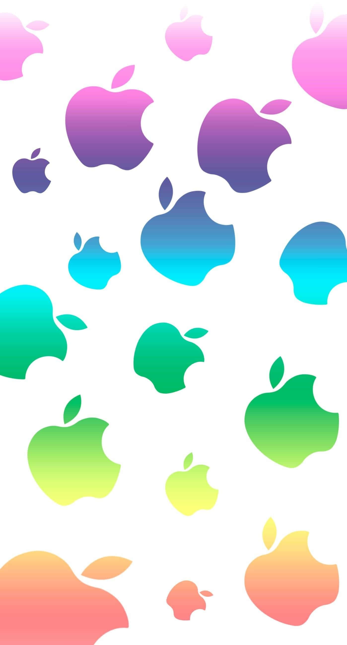 可爱小狗iPhone壁纸 壁纸