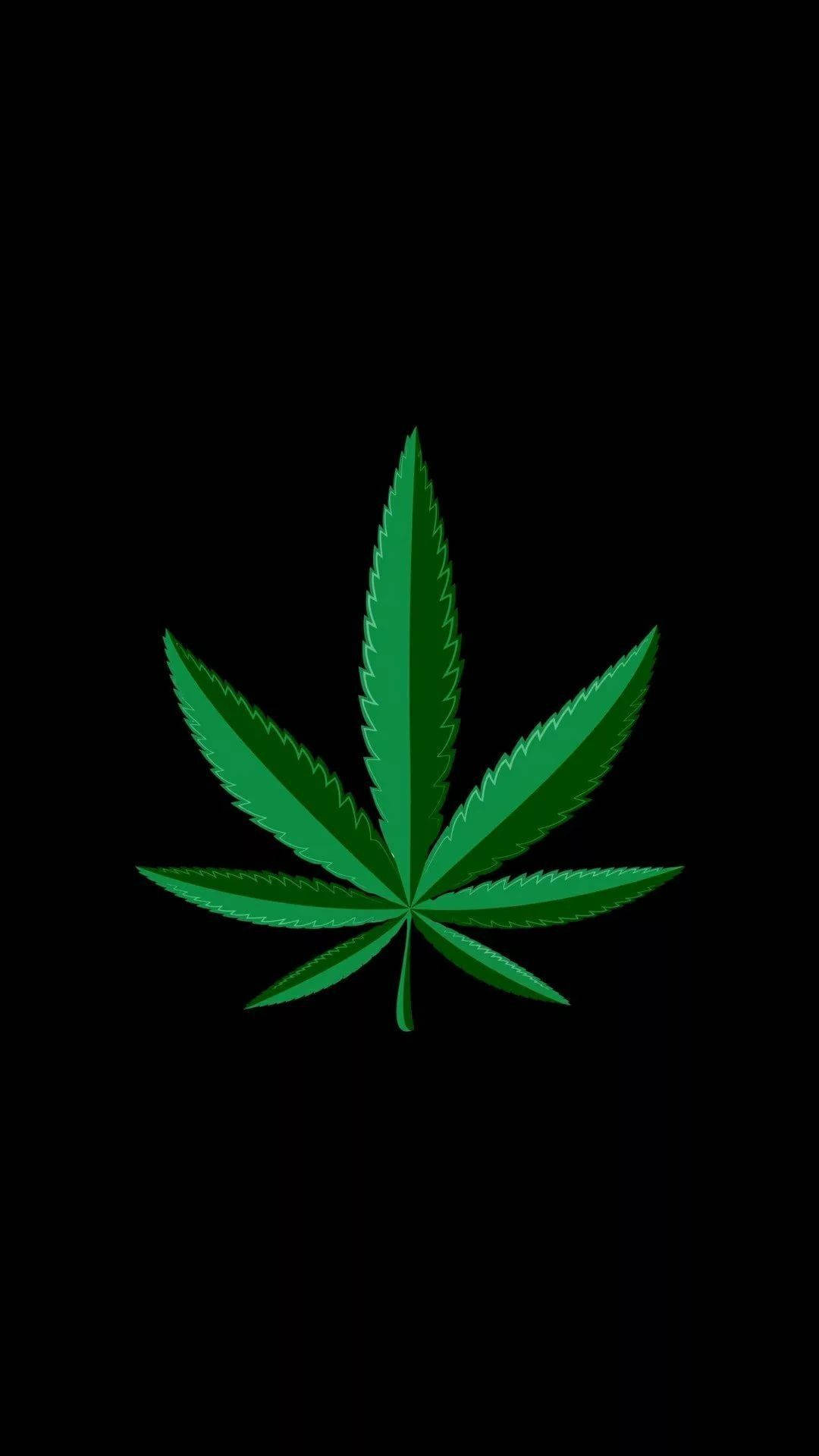 简约大麻叶设计iPhone壁纸 壁纸