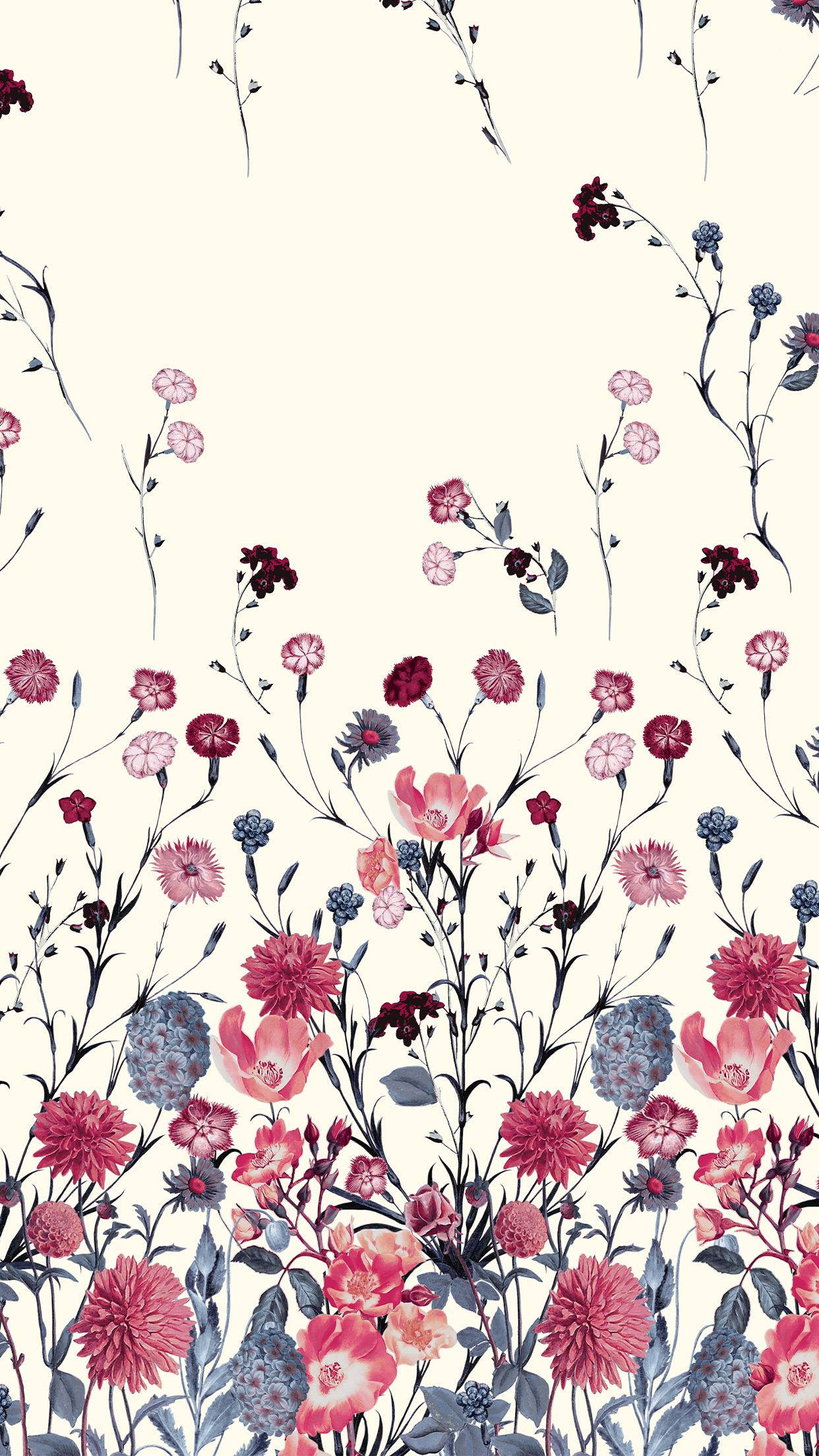 红蓝花卉iPhone 壁纸